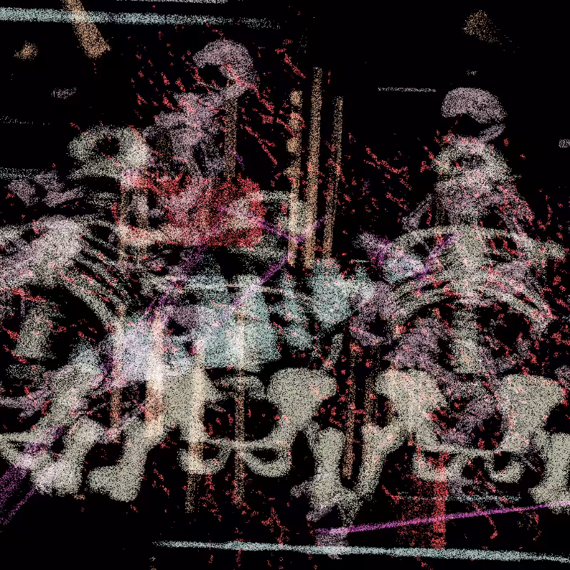 My Luggage FX #25