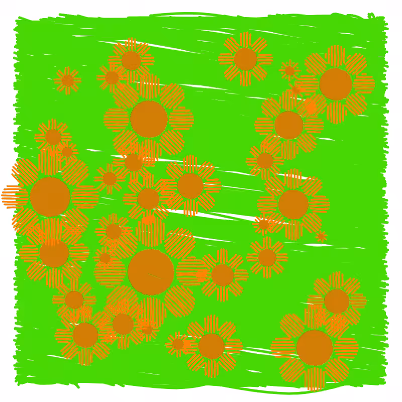 wildflower #43