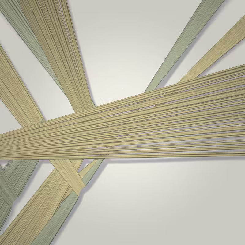 Strand #40