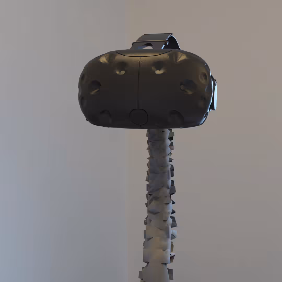 Spinal VR