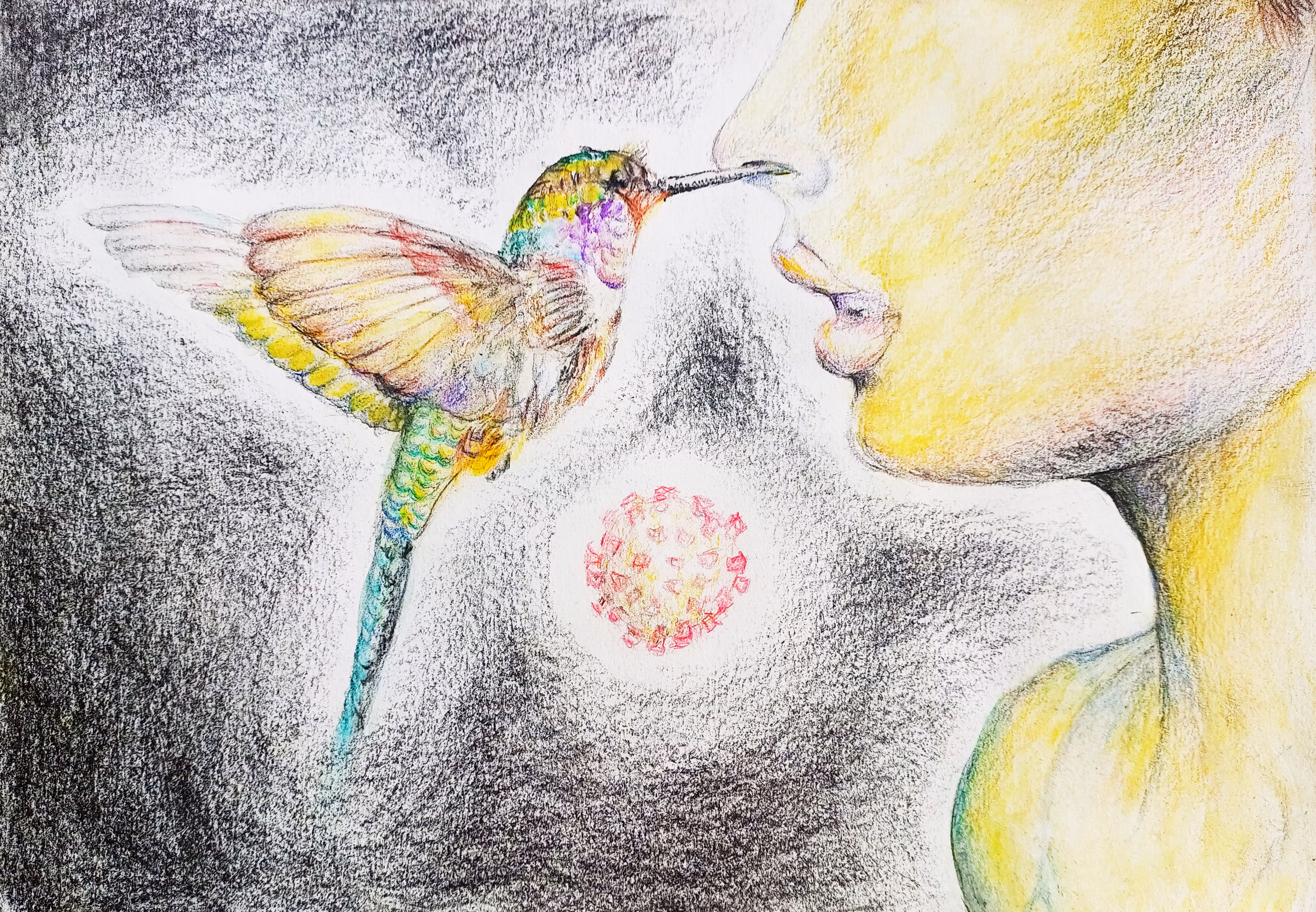 untitled distance