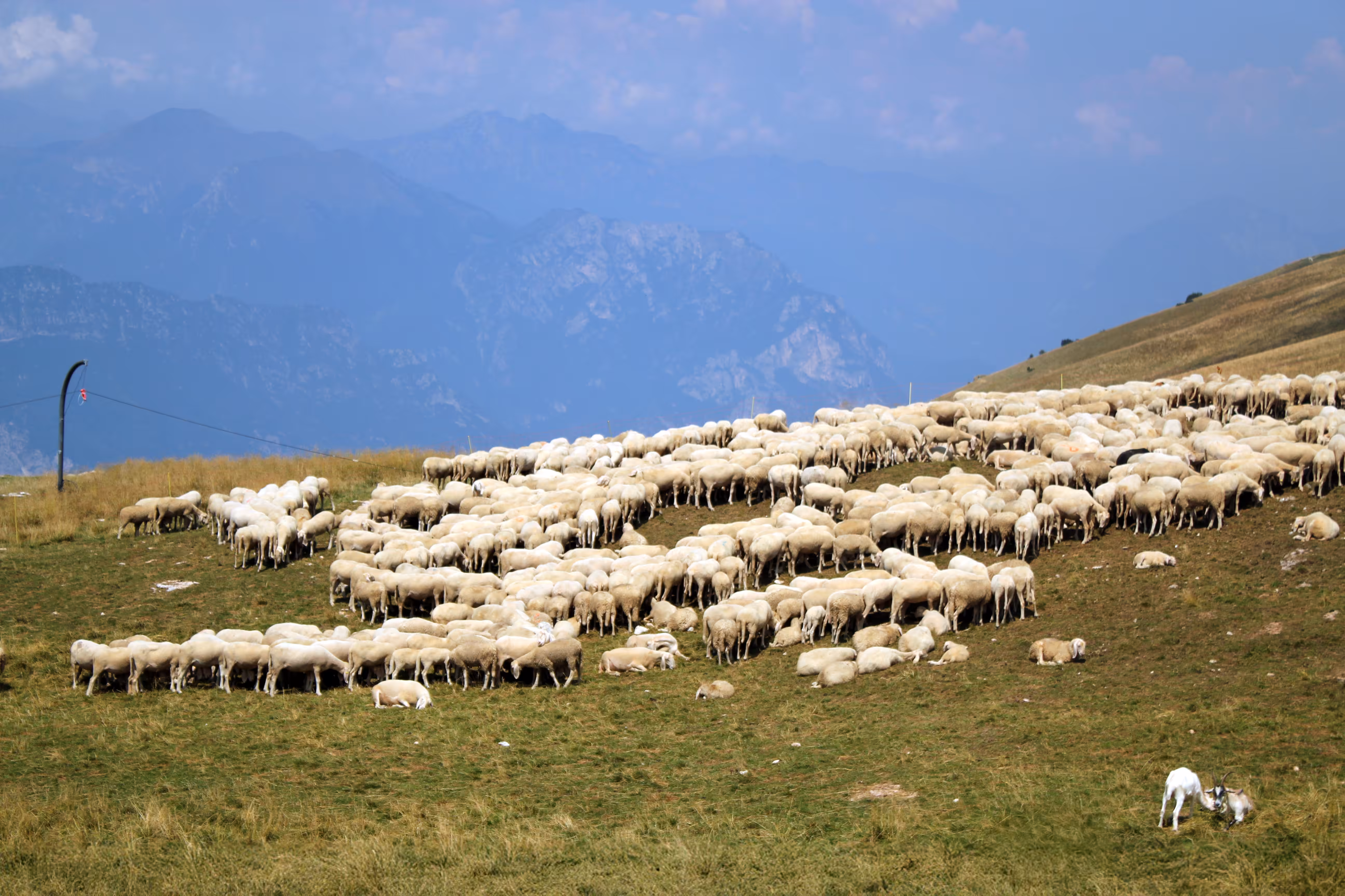 Monte Baldo