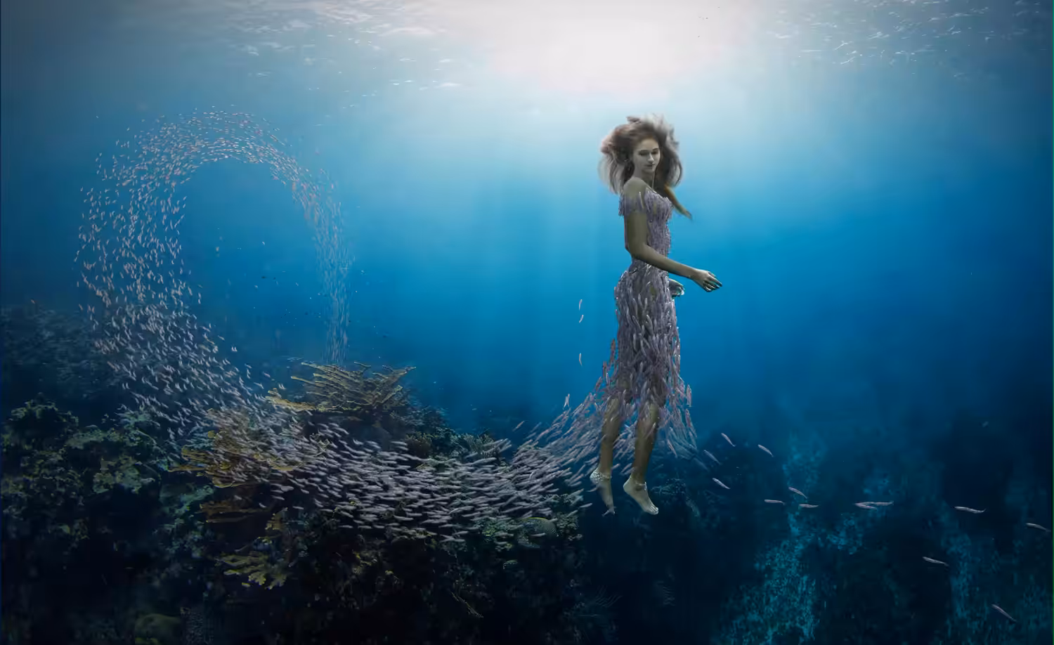 She Shoal by Miss Aniela