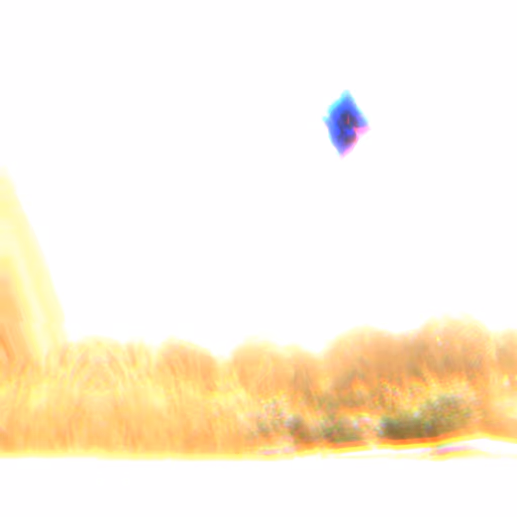 UAP-0003