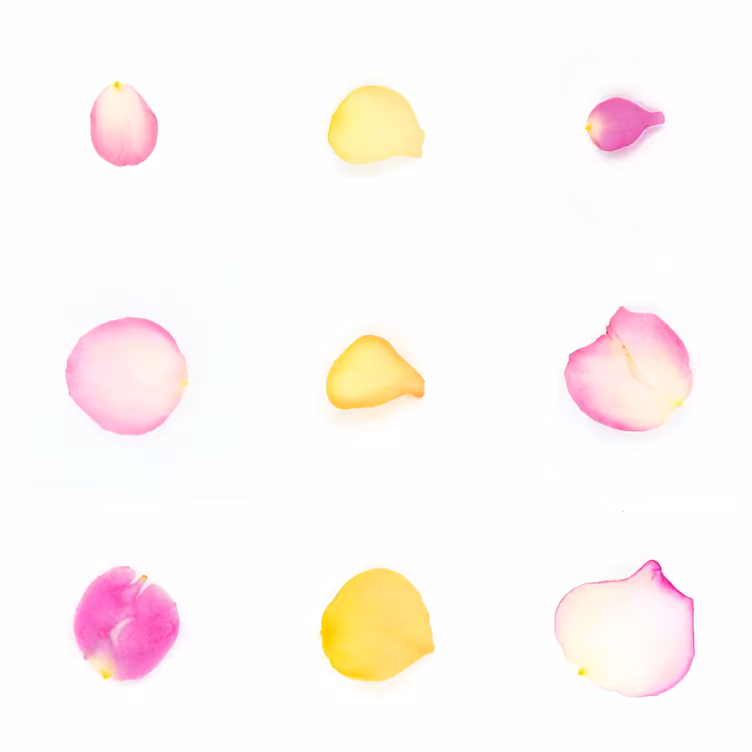 Infinite Petals 3x3#3549