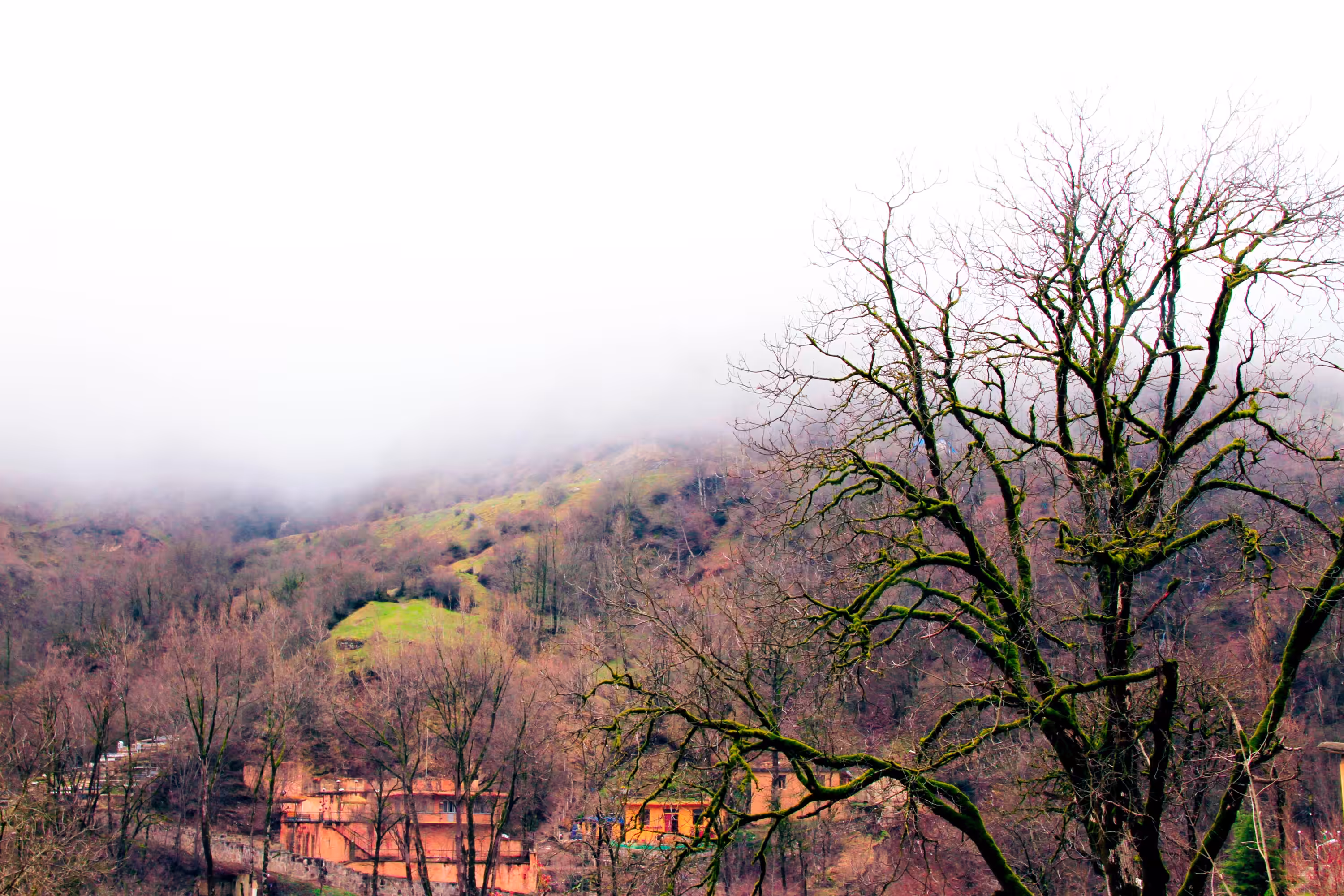 landscape