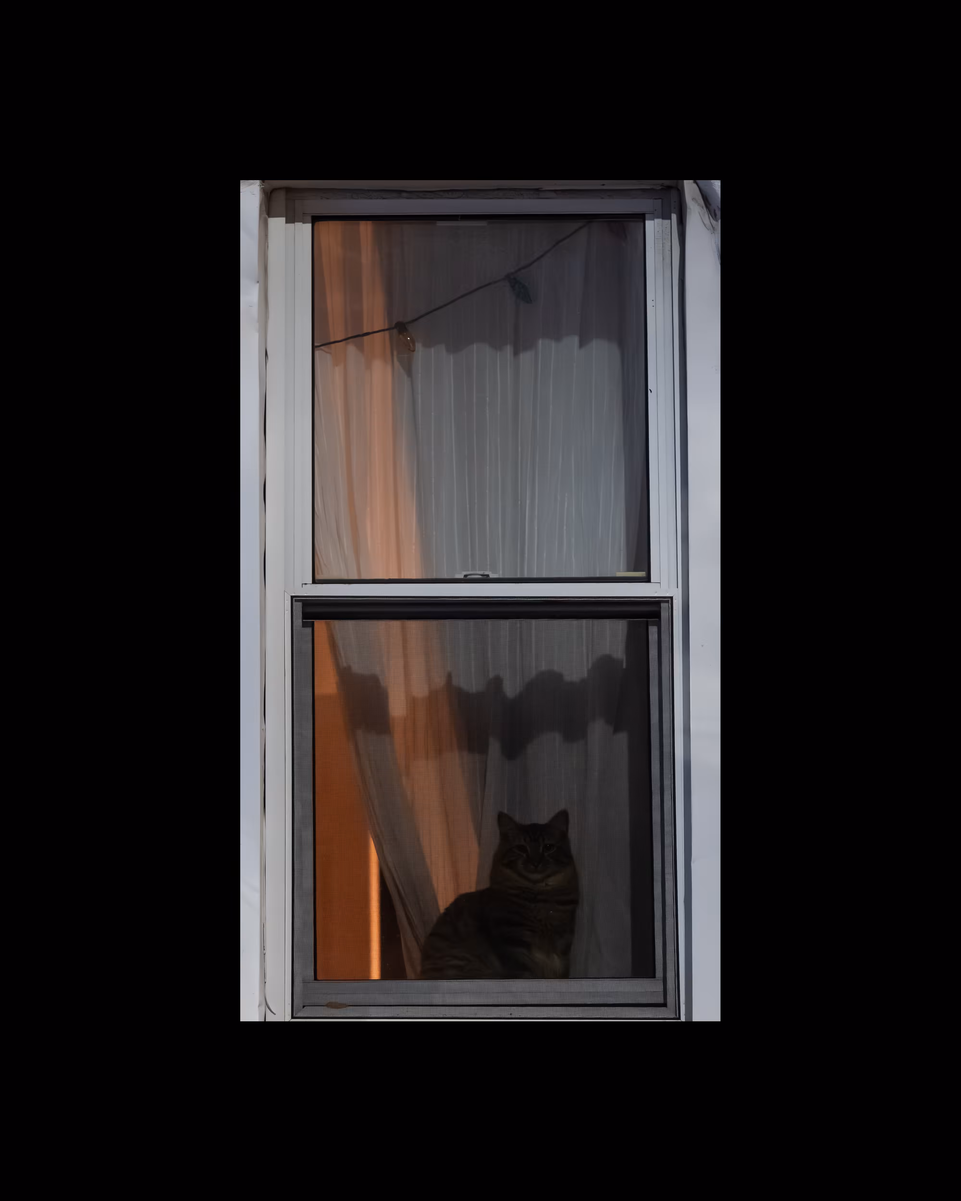 WINDOWS // NYC: WINDOW 926