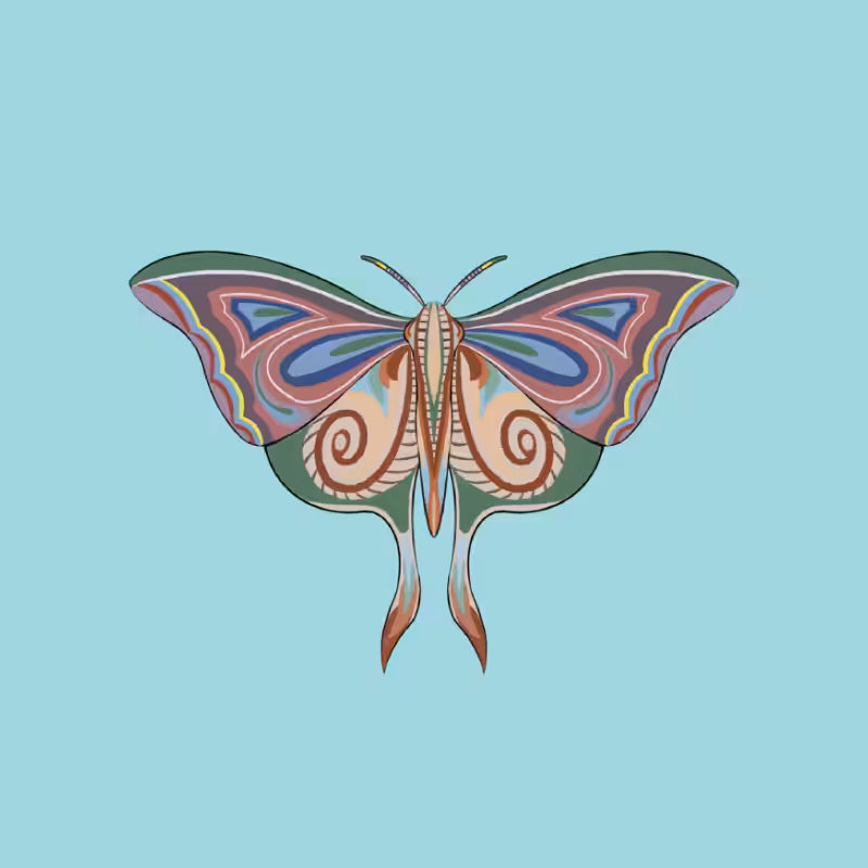 The Moth Experiment 2.0 P2 #20