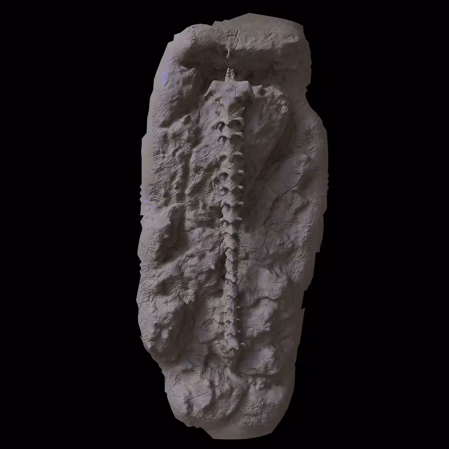 FOSSILISATIO