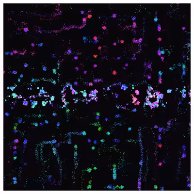 Neon Warp