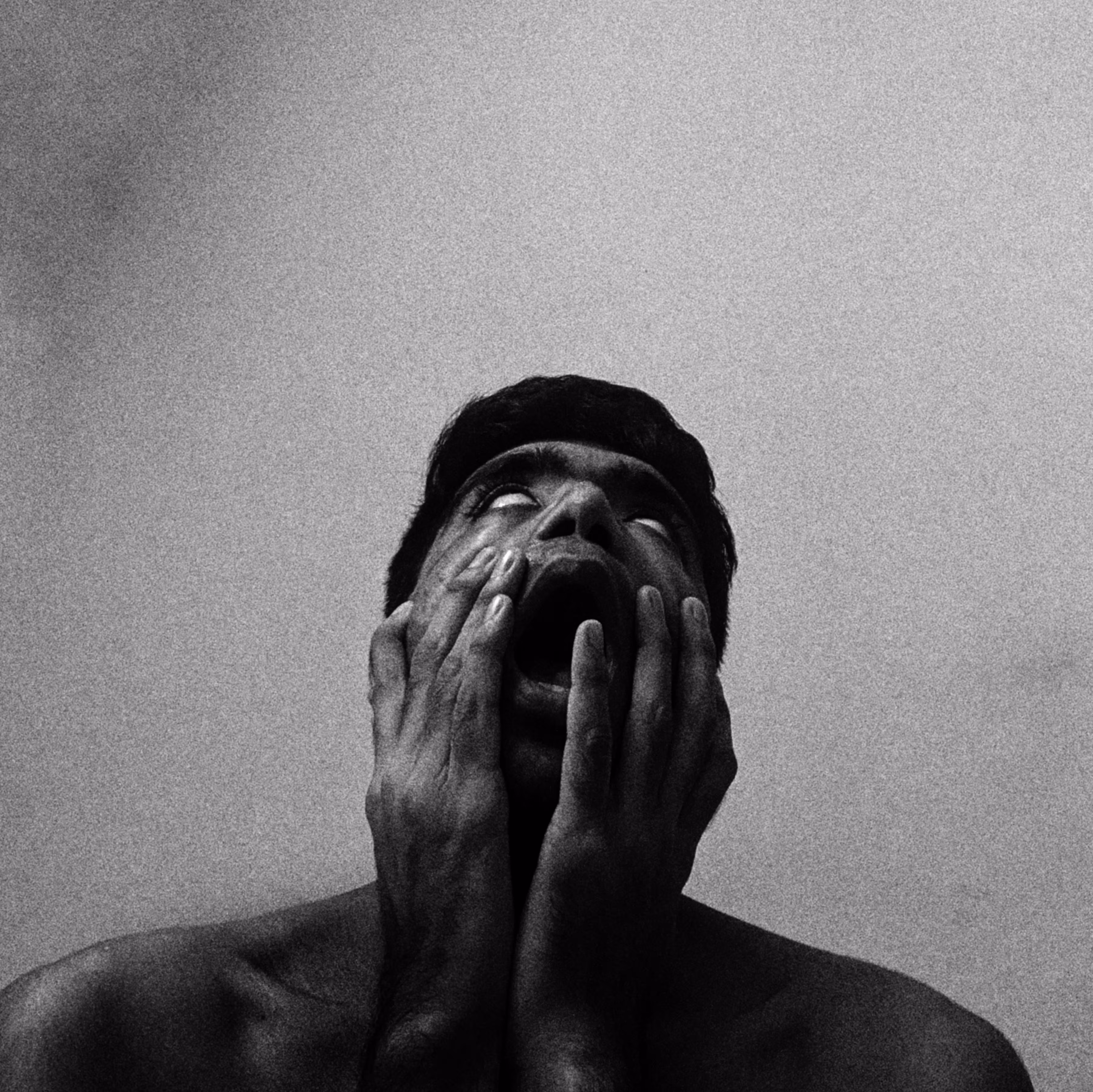 LIFE #2 - Disturbed by noise