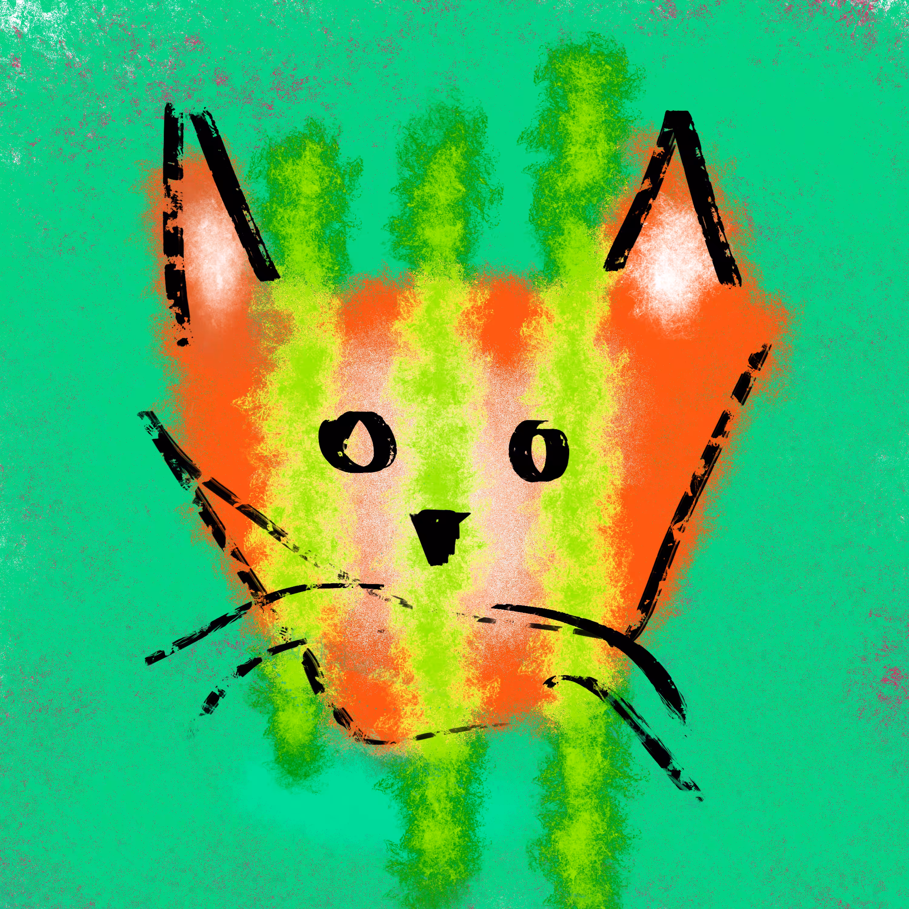 cato005