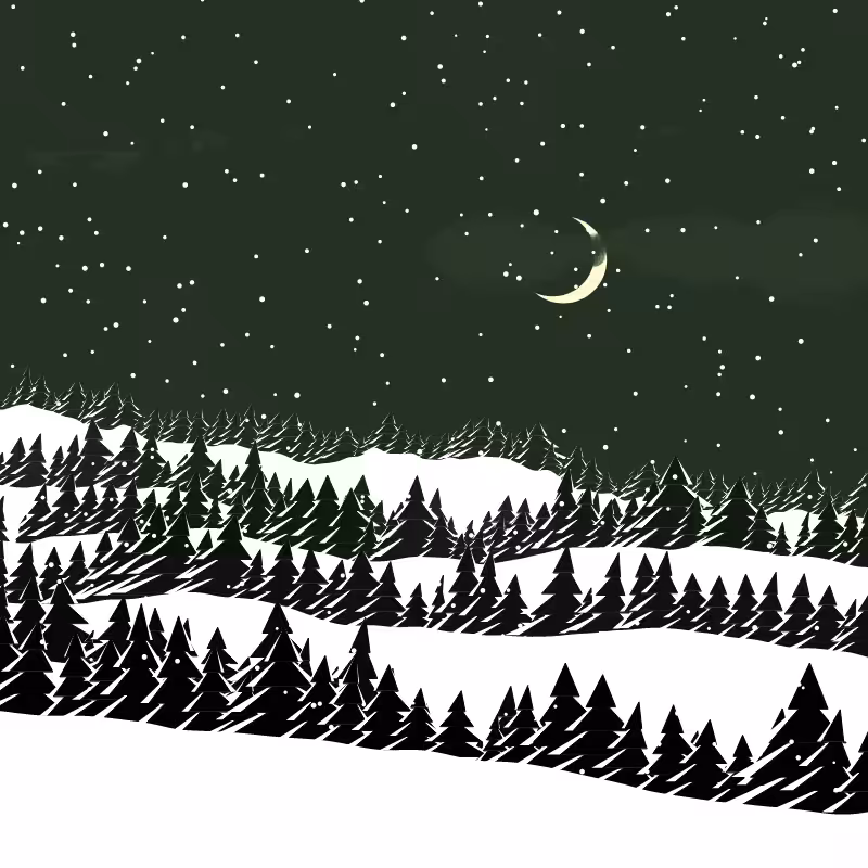 Winterland #205