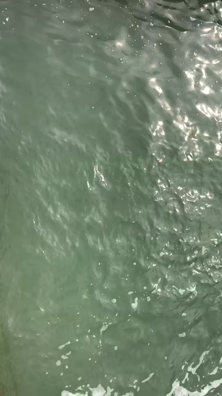 Open Sea 0006