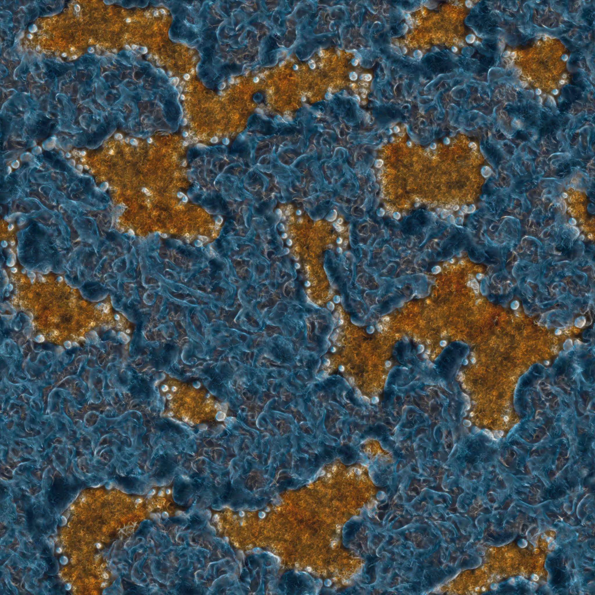 saprophyte #24