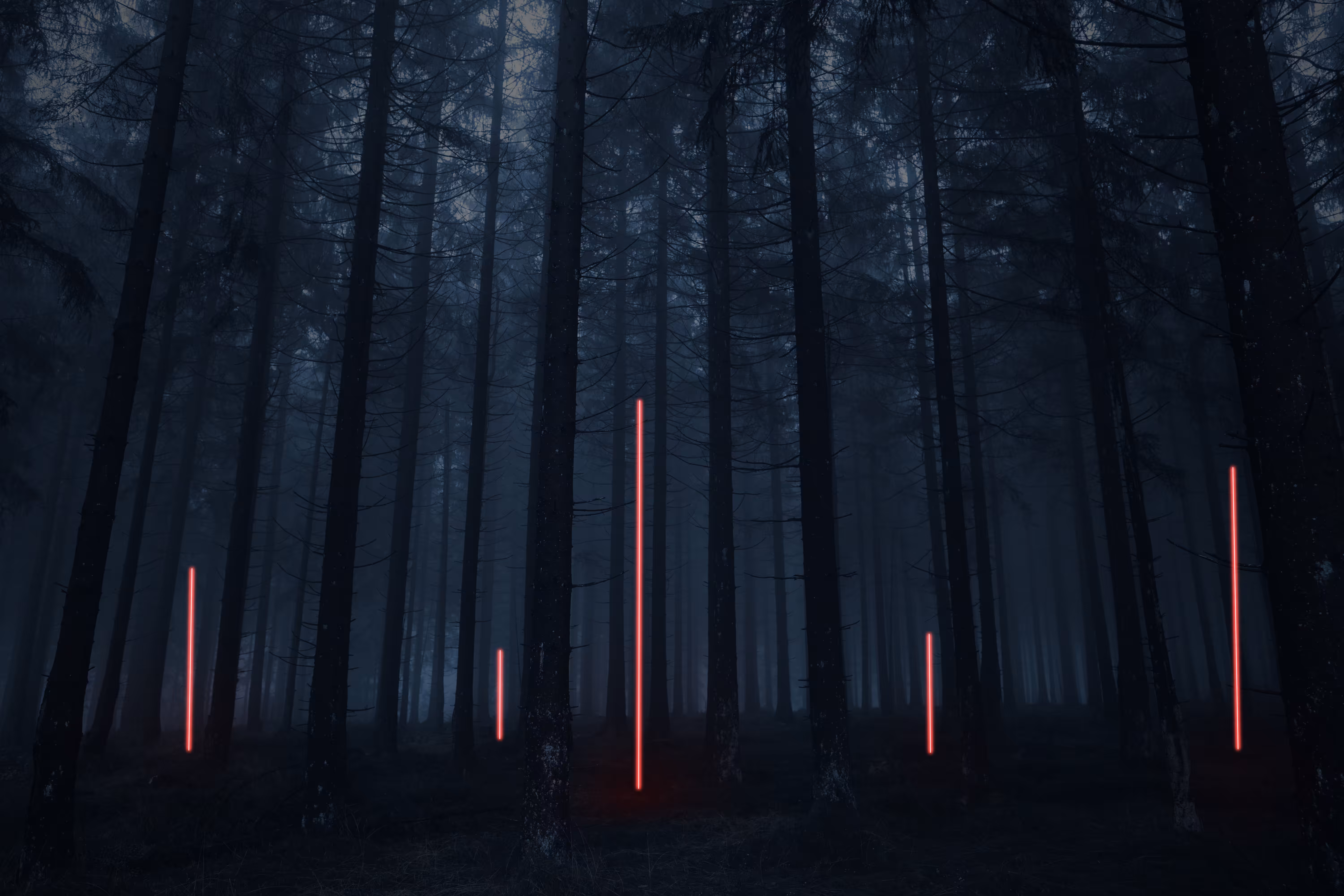 NEON in the woods.