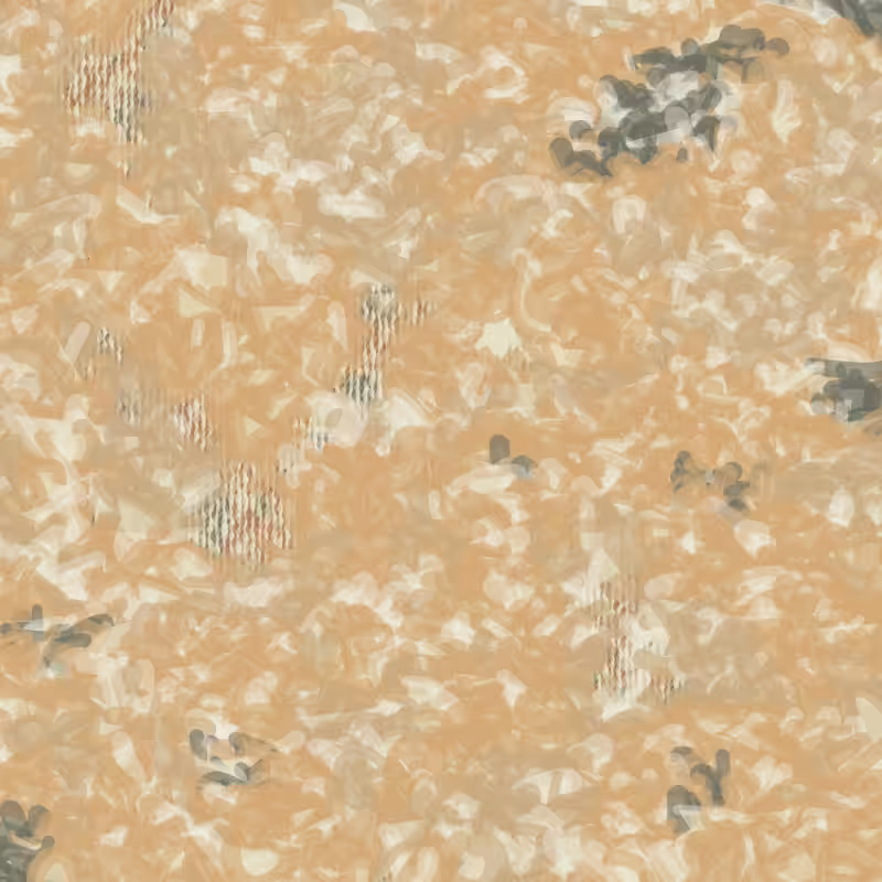 Petri 1500 #225