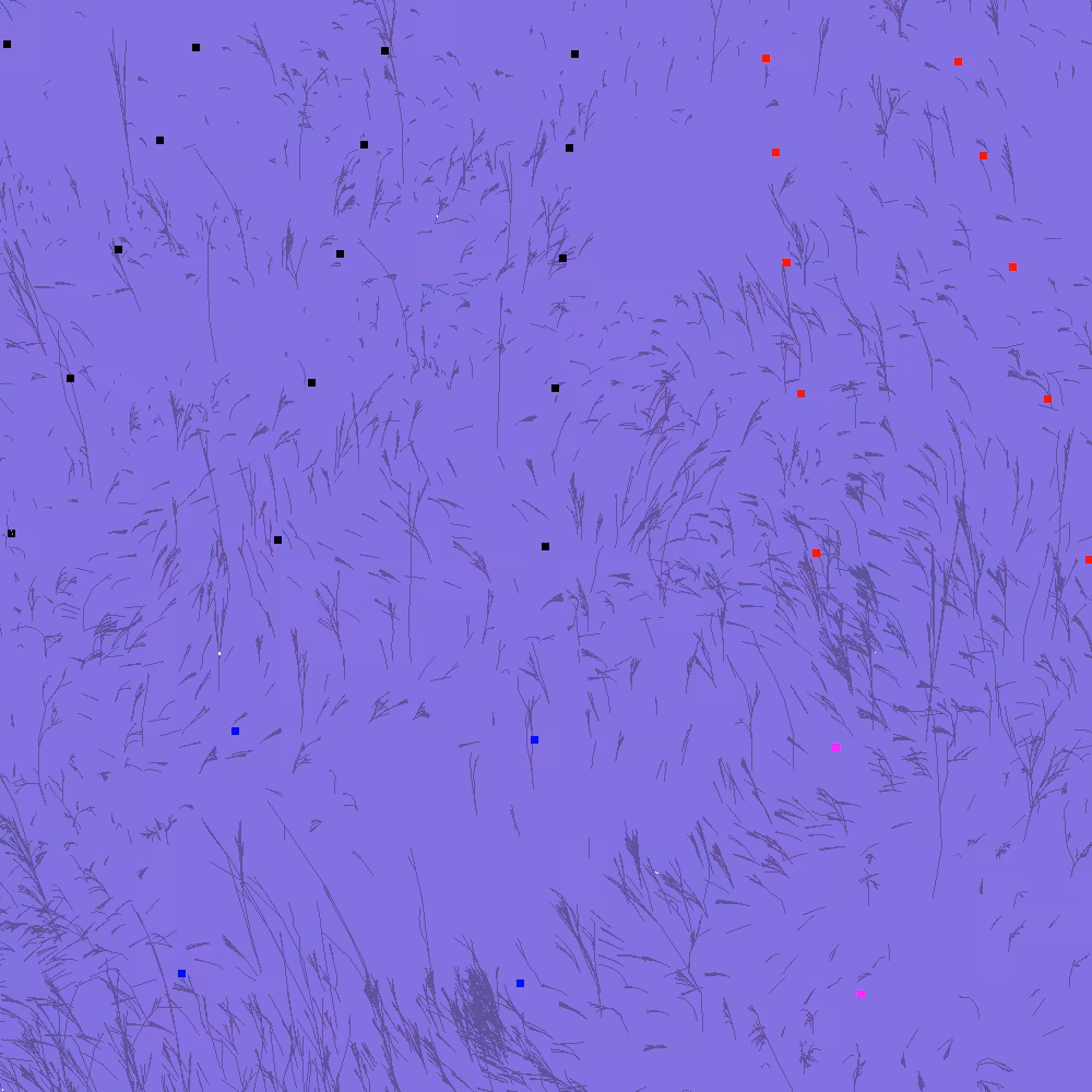 Infinite Garden: 21046 Flowers