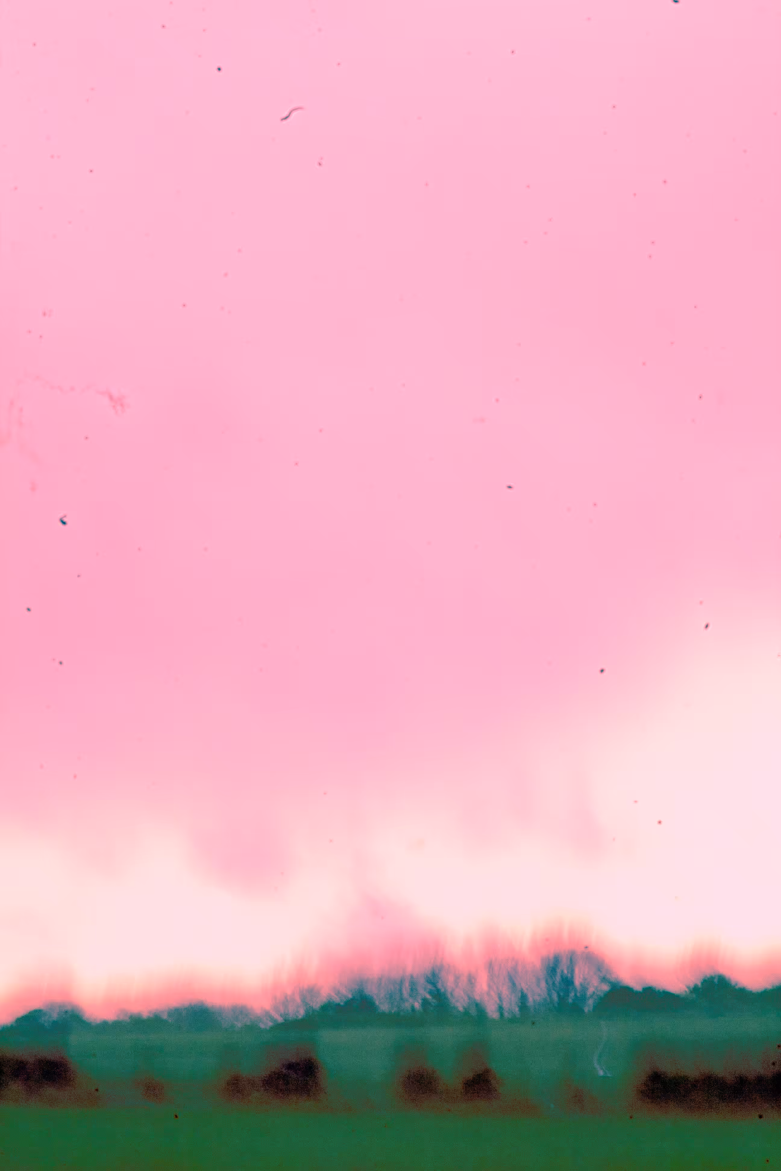 trapped within a descending haze