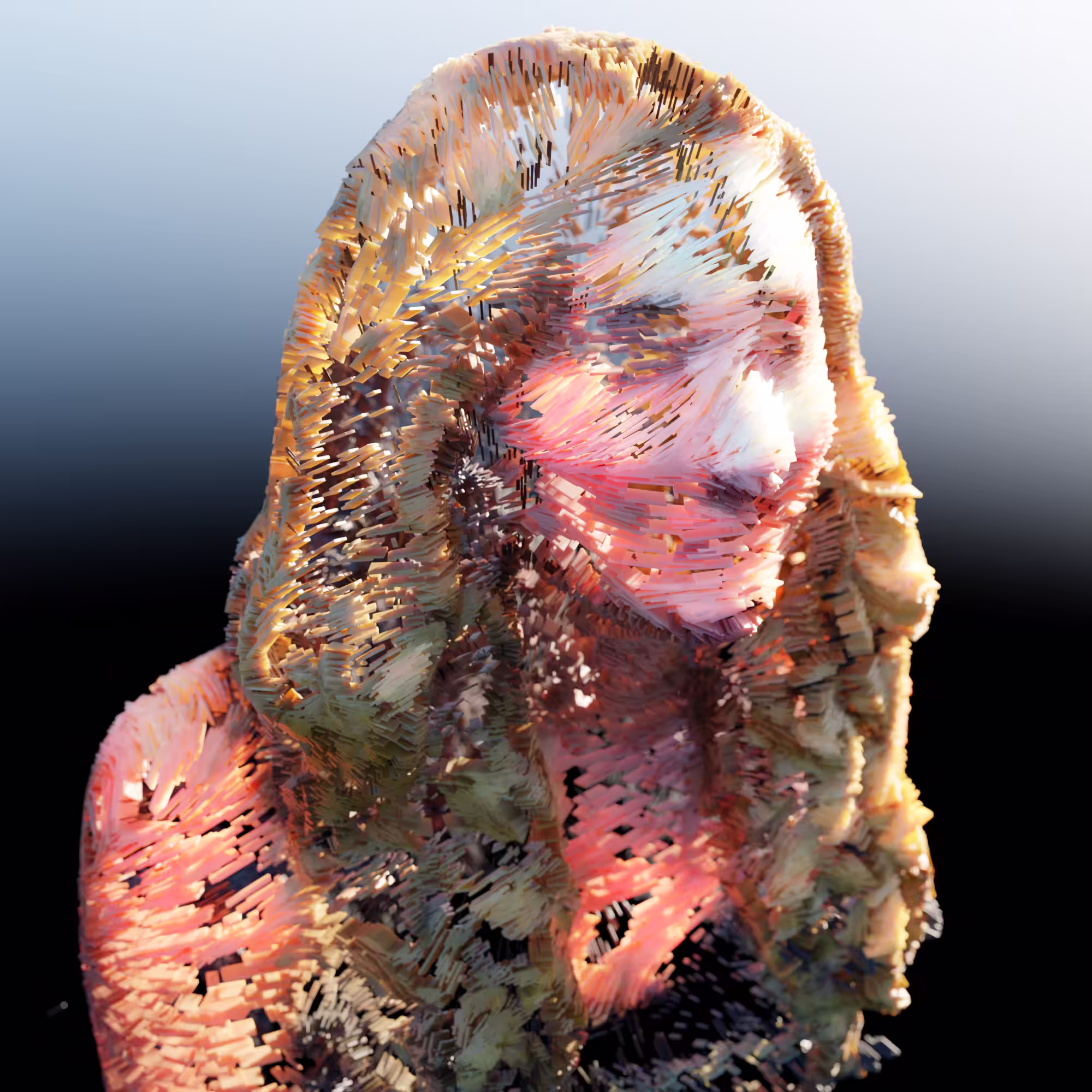 GeoPortrait 010