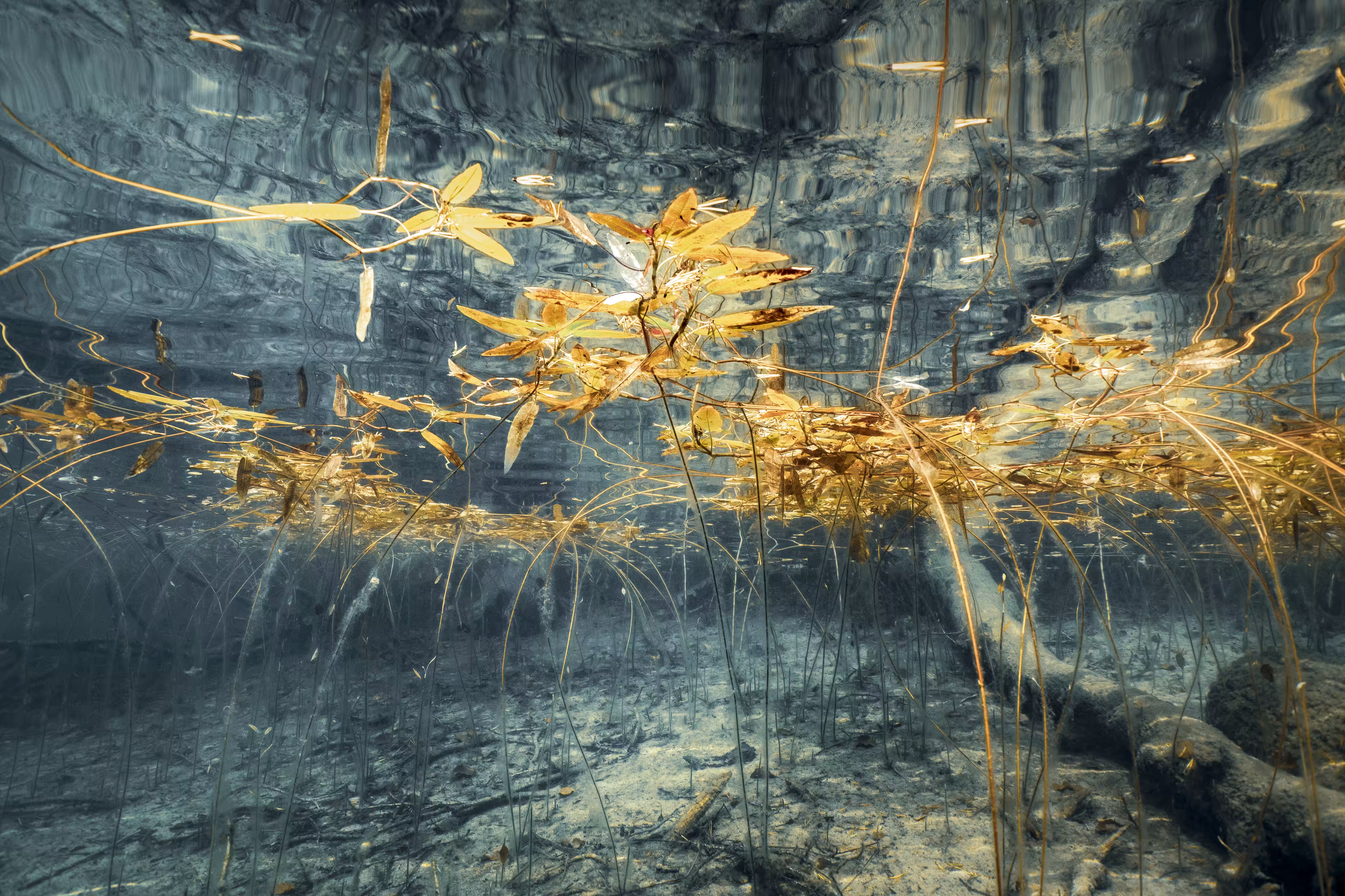 Autumn