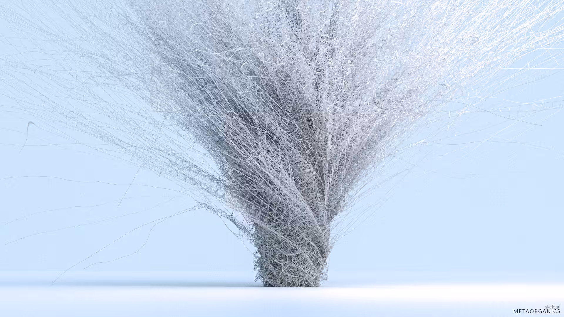 Skeletal_03