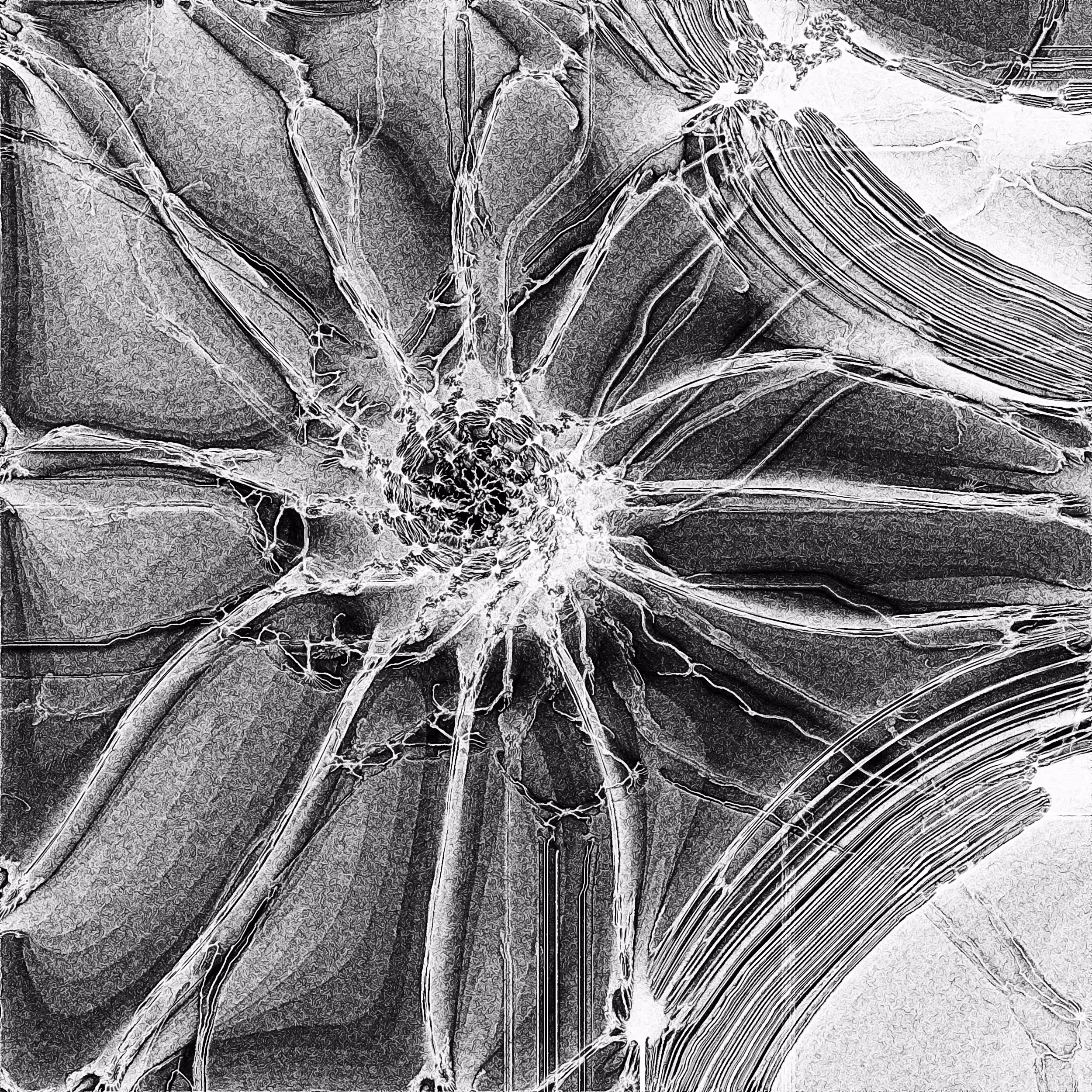 Parasite #0012