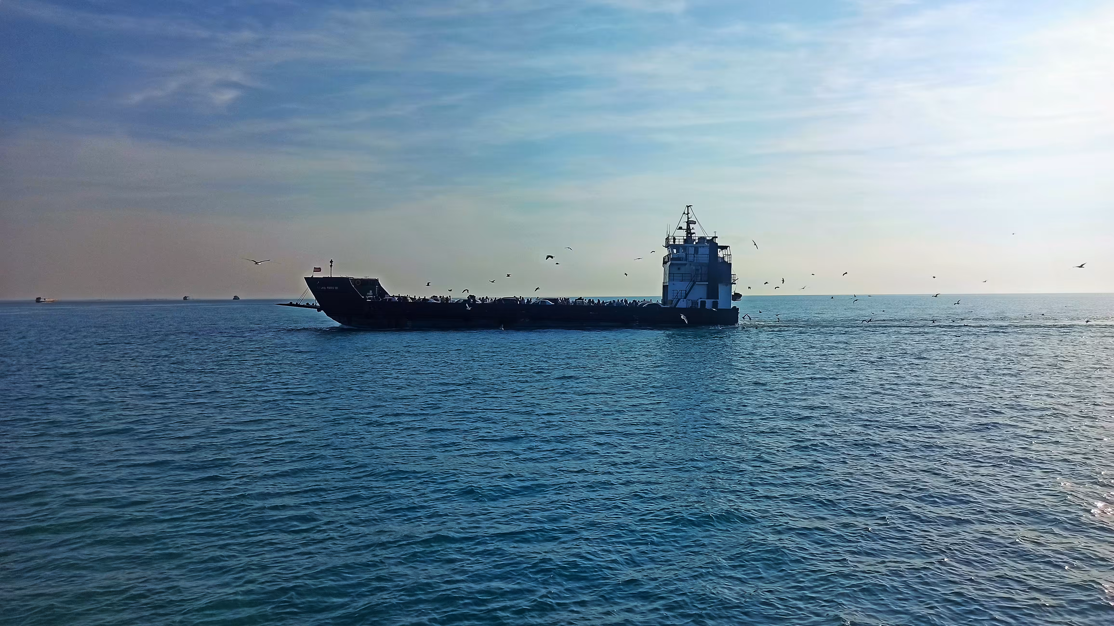 Daily  photography: Cruise
