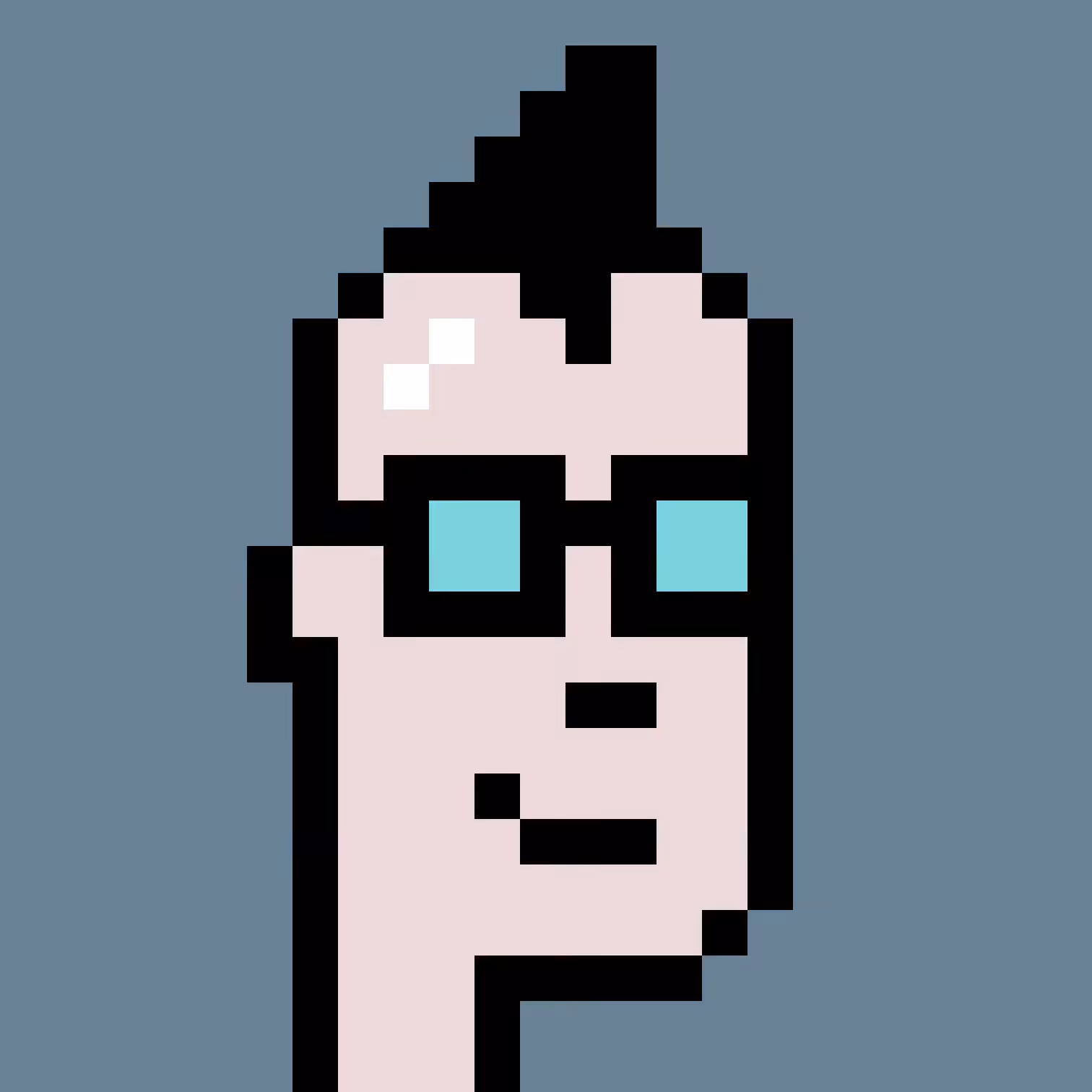 MissingPunk #181