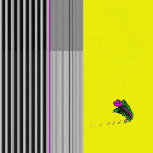 𝖈𝖆𝖙𝖈𝖍 𝖒𝖊