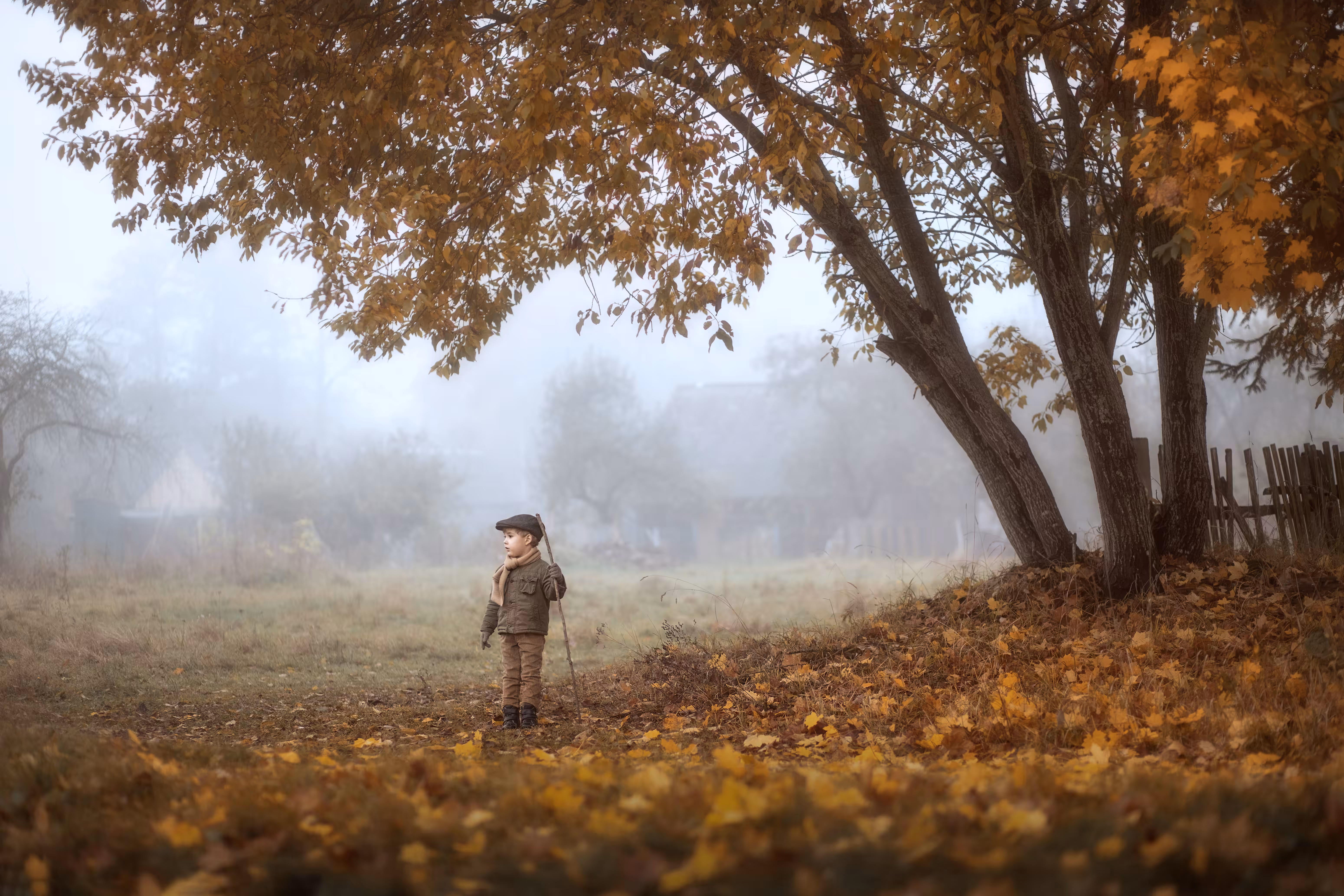 Foggy