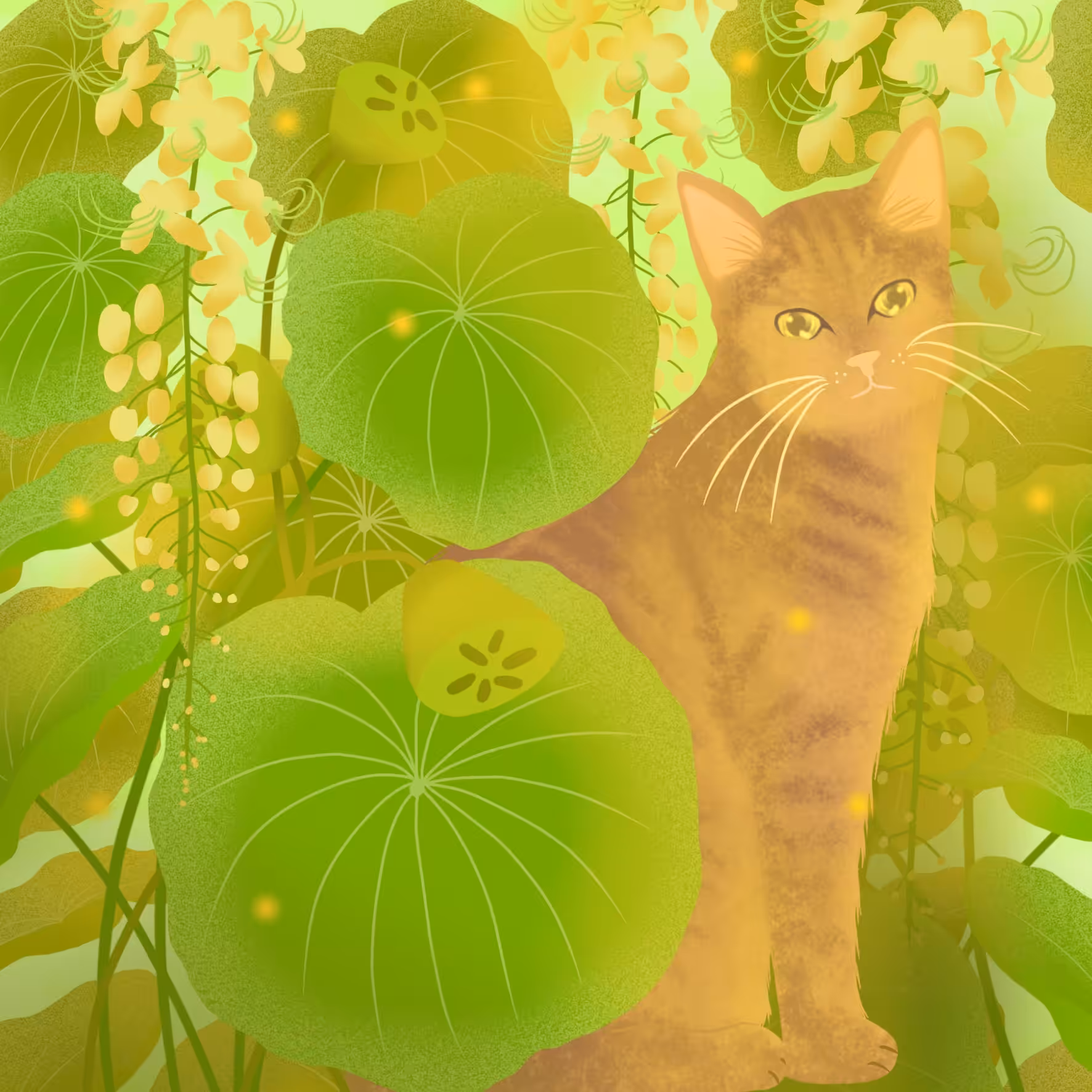 Cat & Lotus 