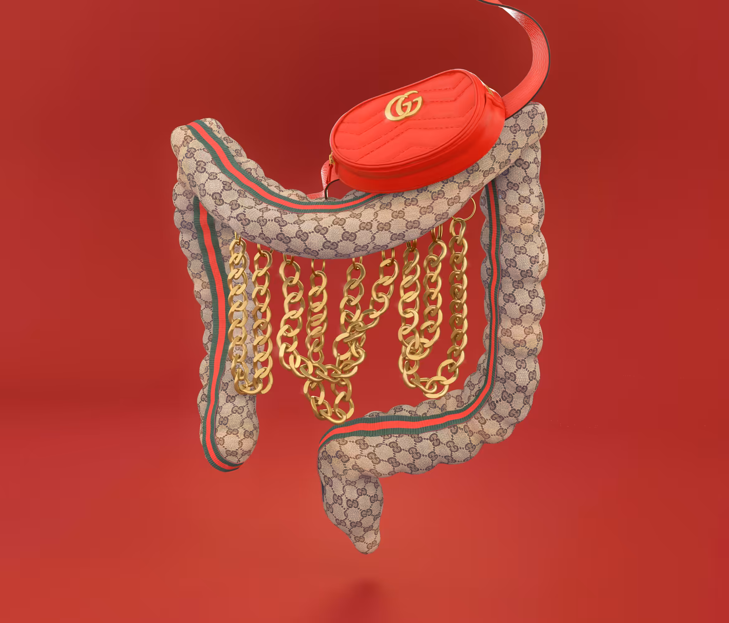 Gucci Digestive System