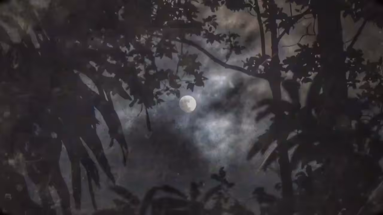Secret Night