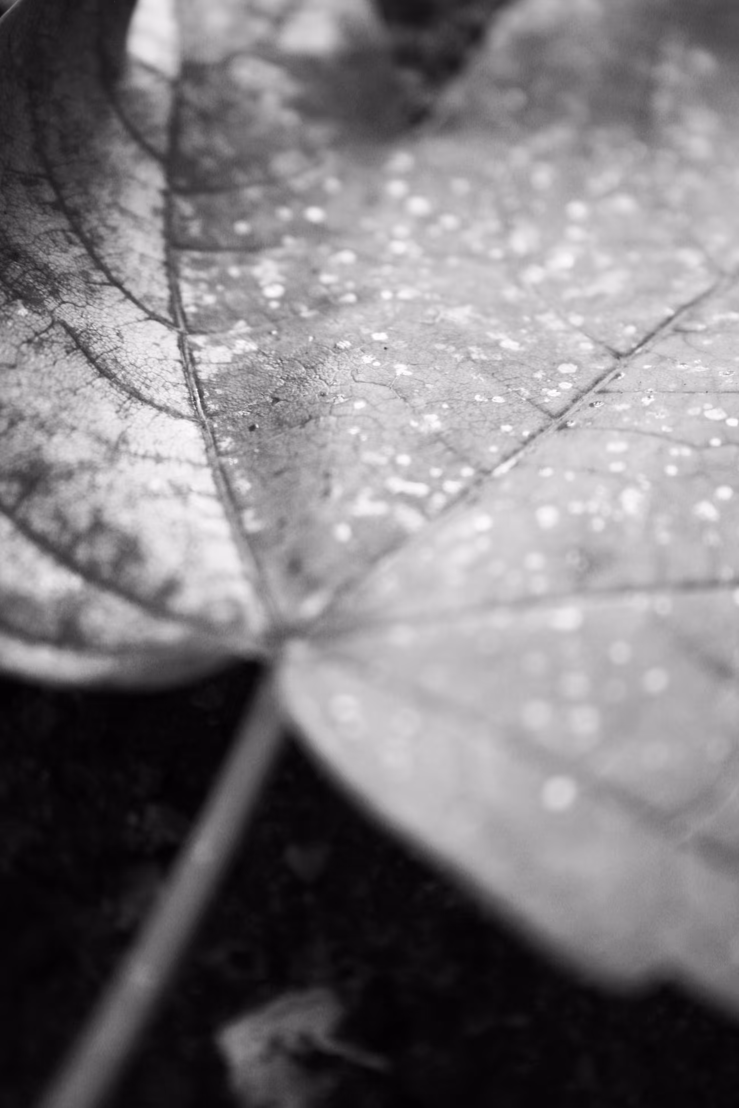 HaNd Of NaTuRe