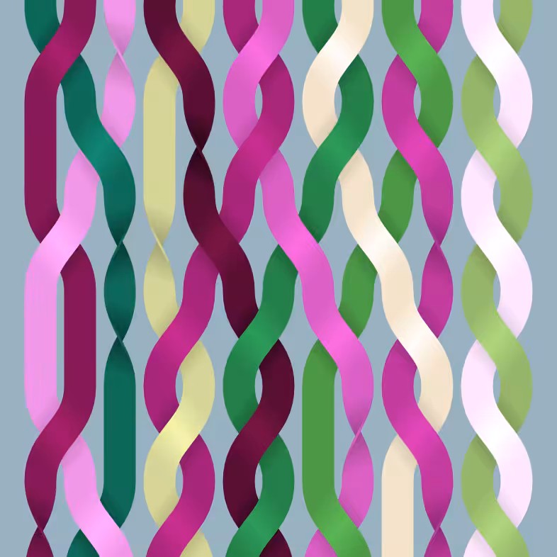 Endless Braids #26