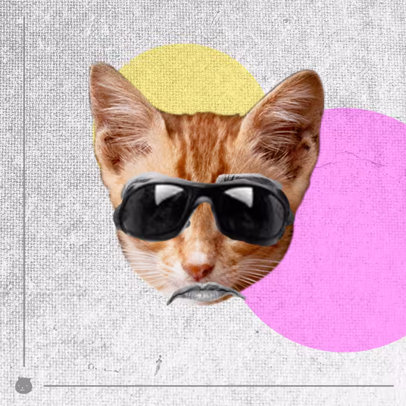 Kittenstein #23