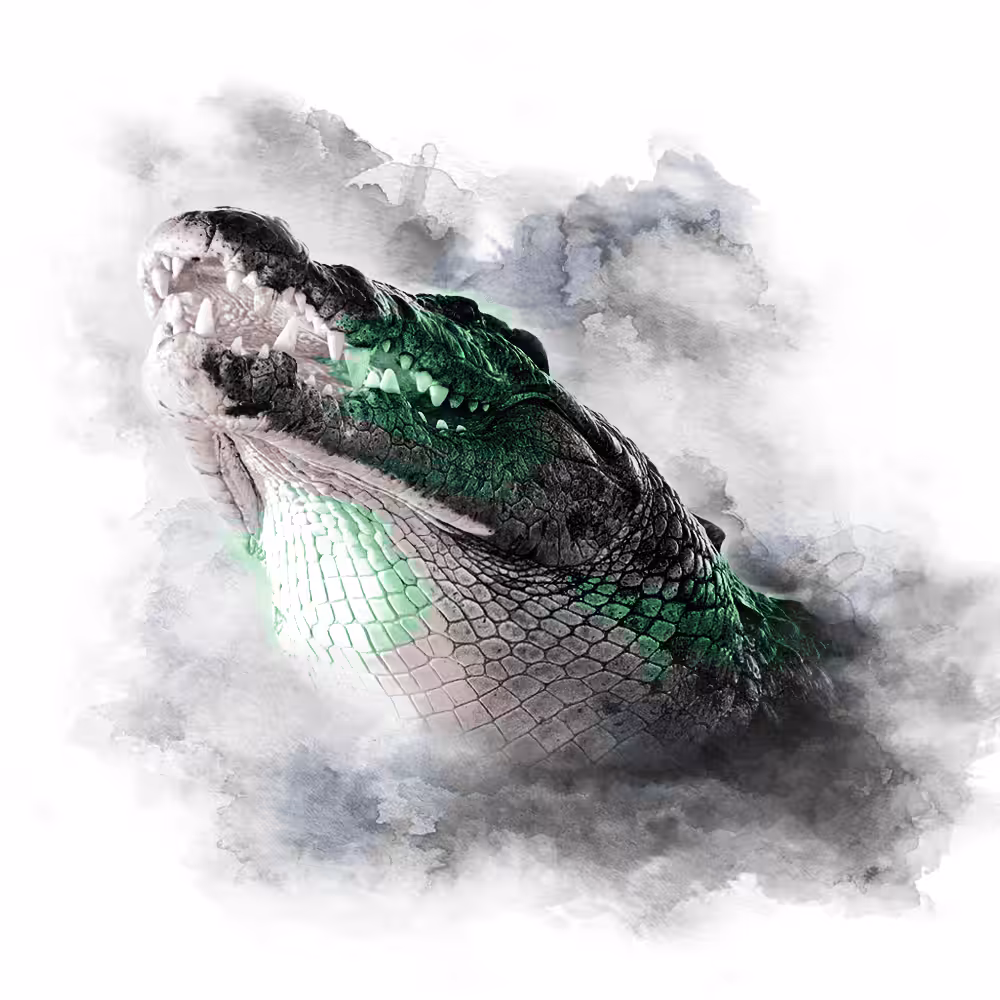 GREEN SERIES - CROCO