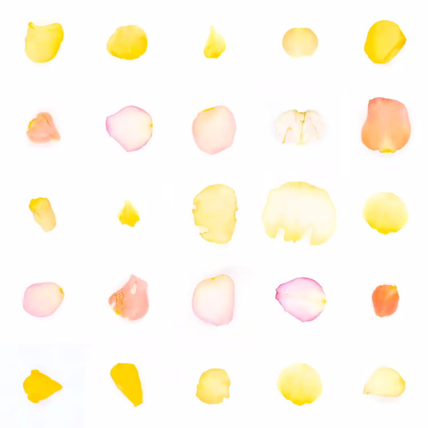 Infinite Petals 5x5#1446