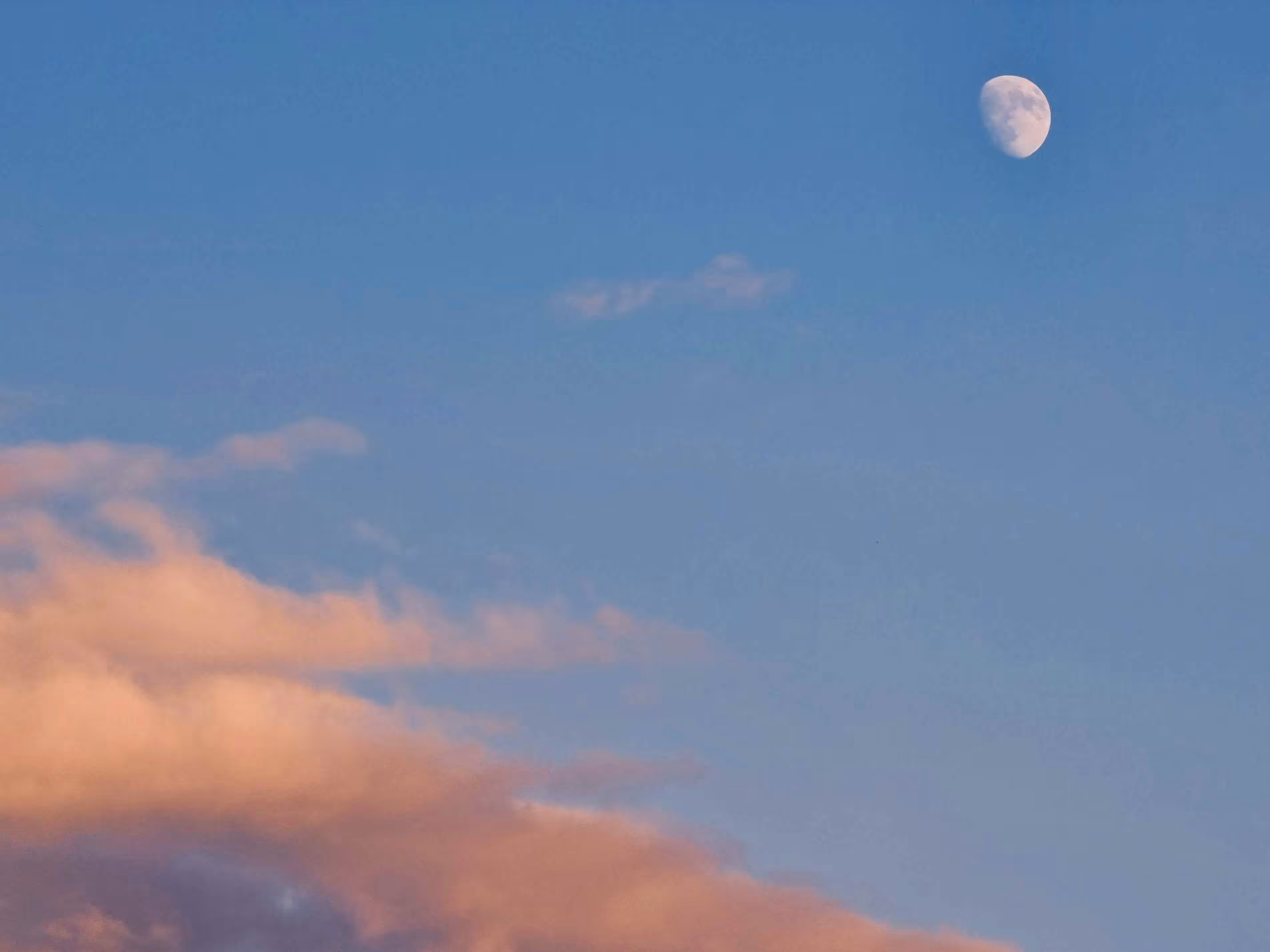 Daily Moon
