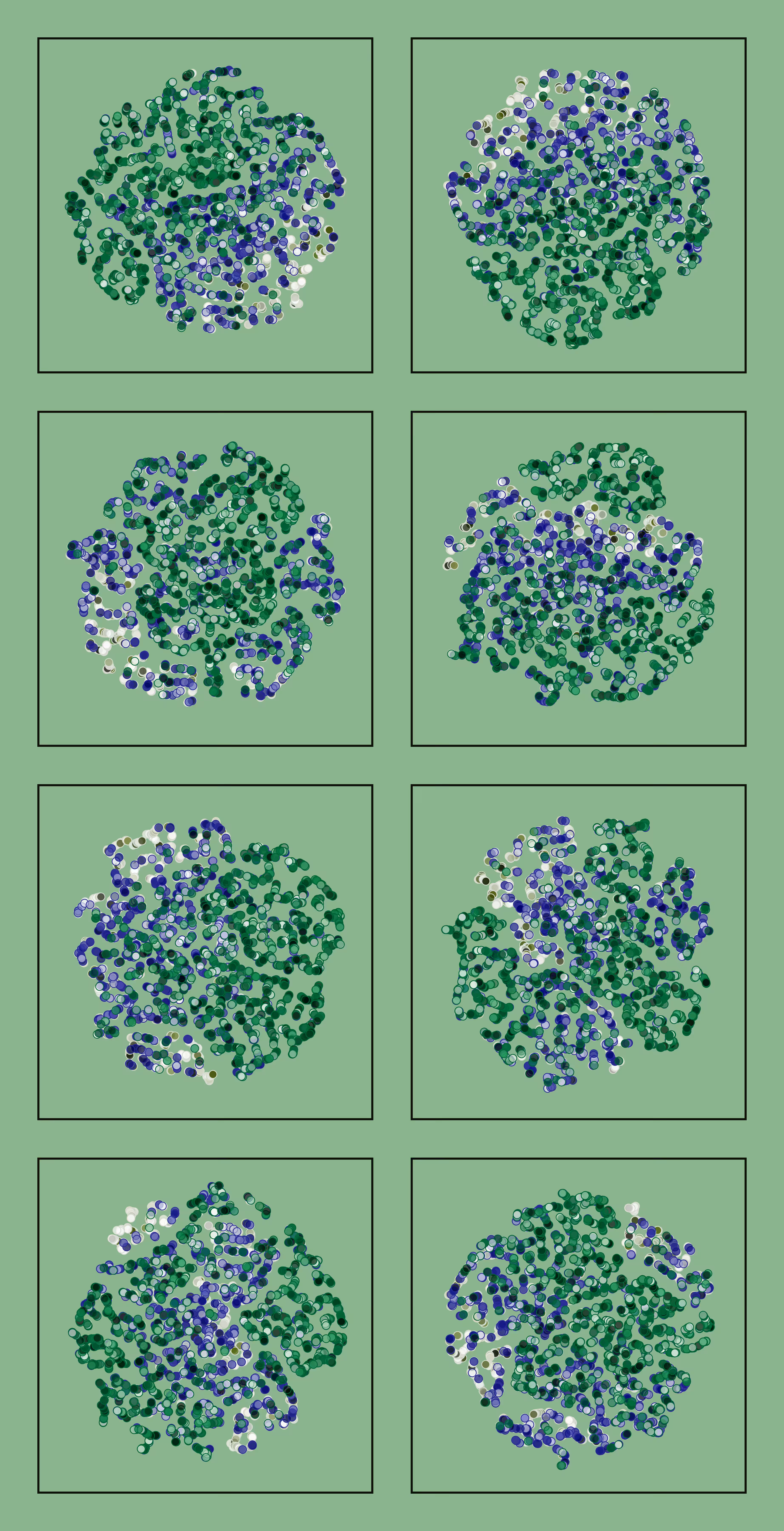 t-SNE #14