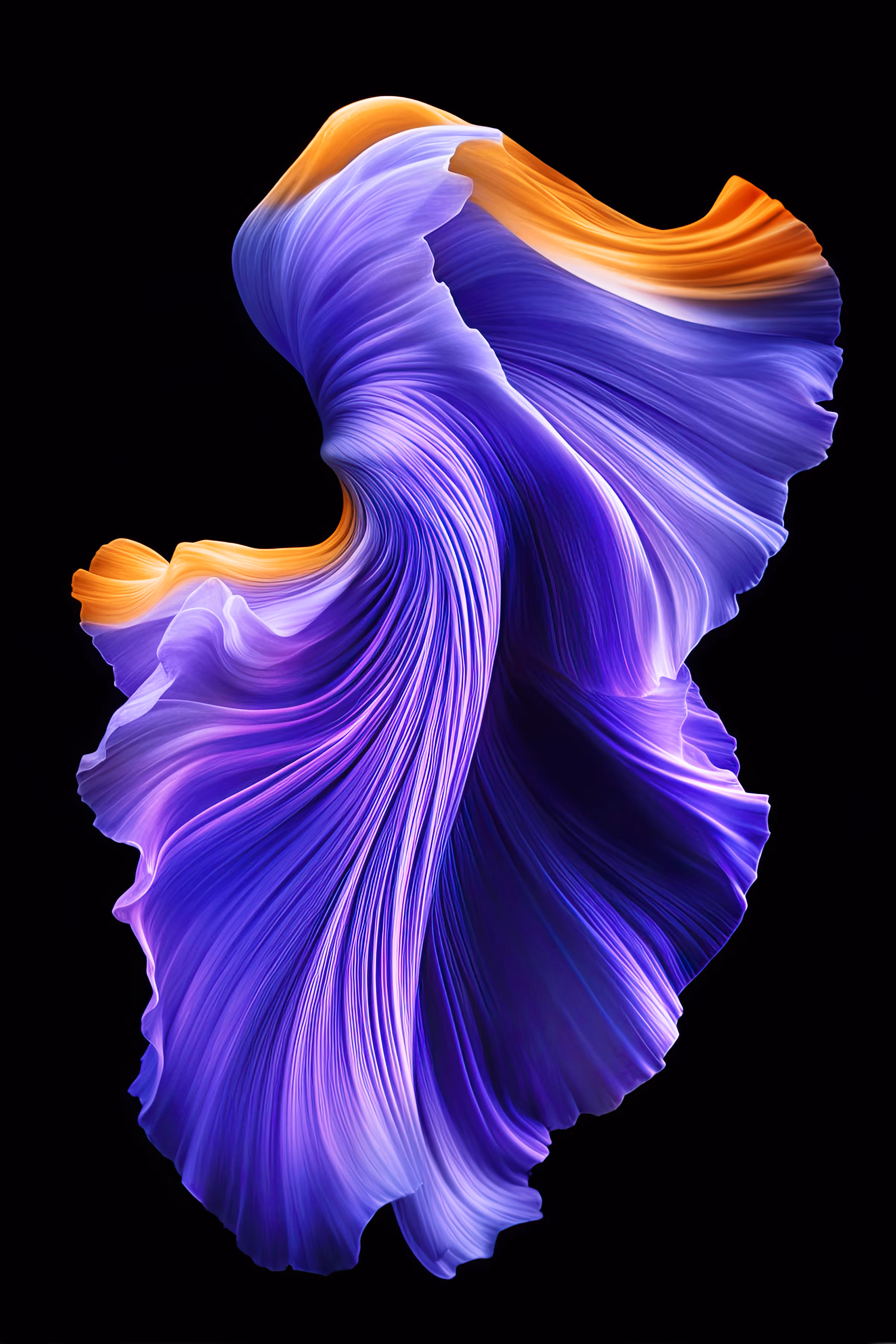 Pollination 8