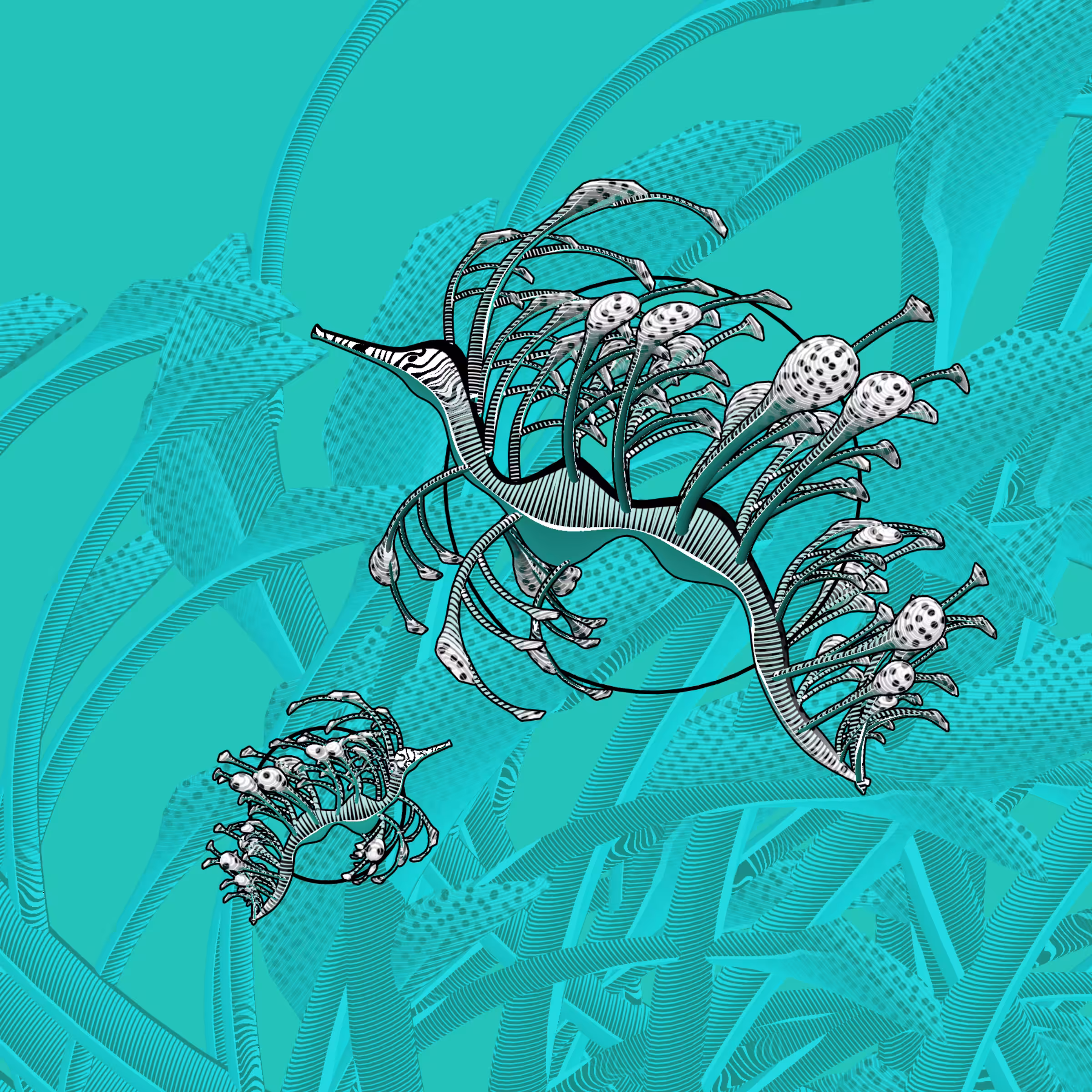 Seadragons #276