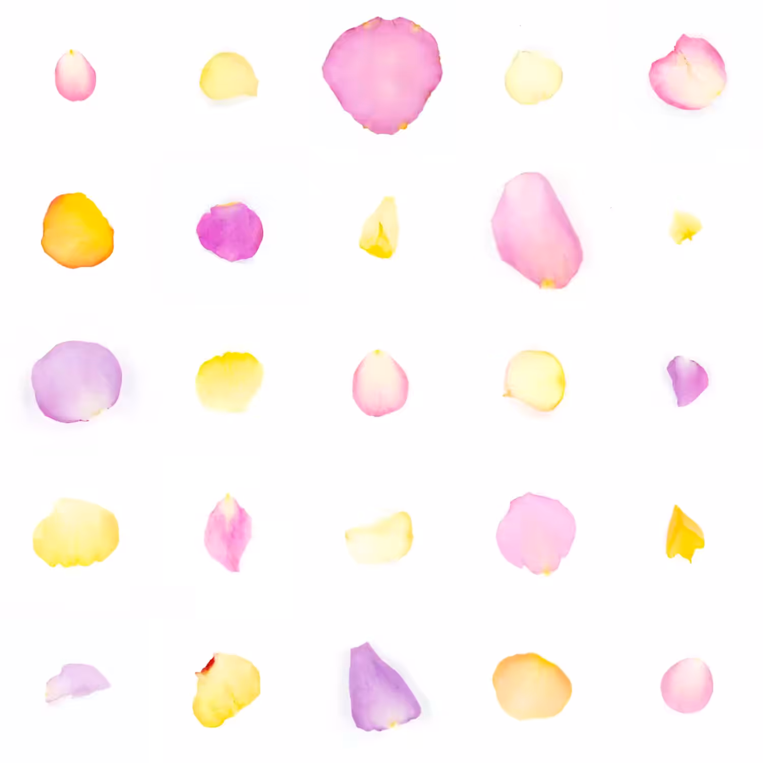 Infinite Petals 5x5#20220