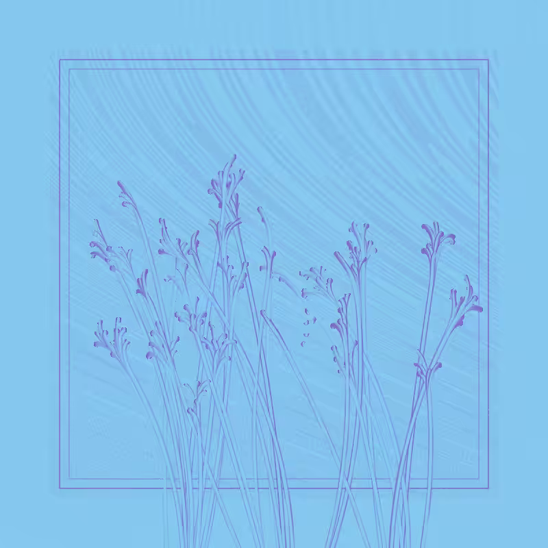 string_pllu #68
