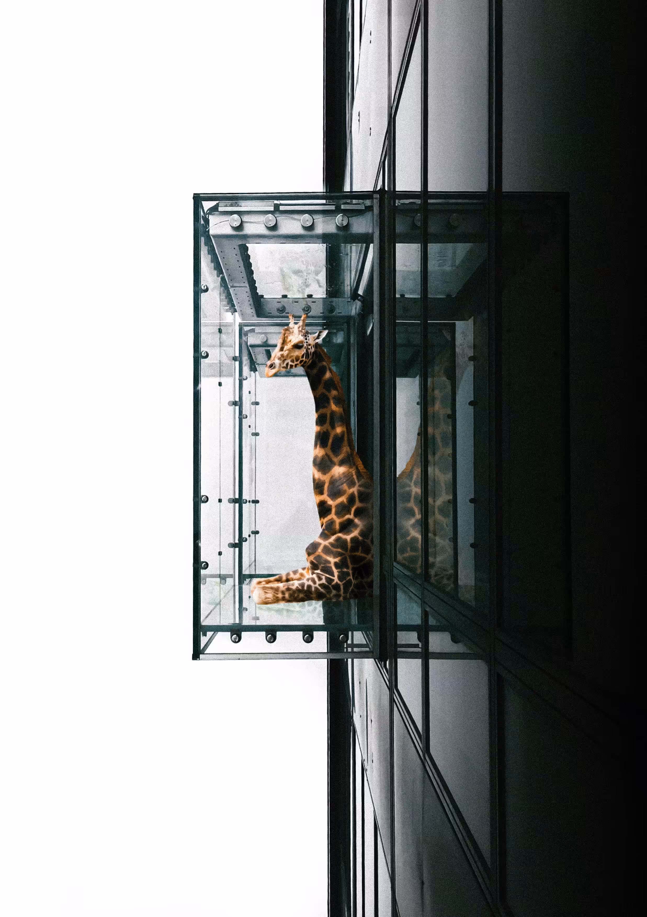 Such Great Heights