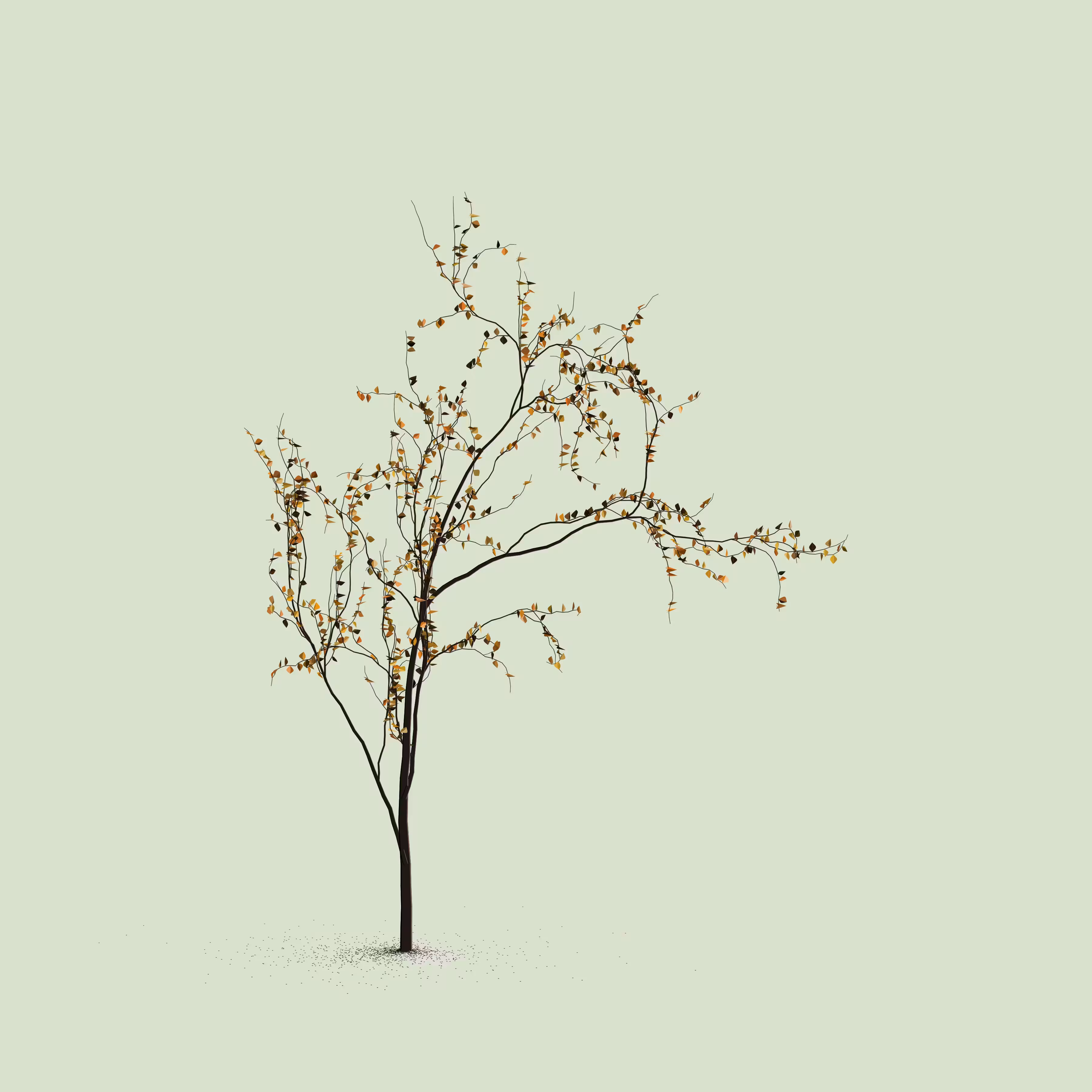 Little Trees #211
