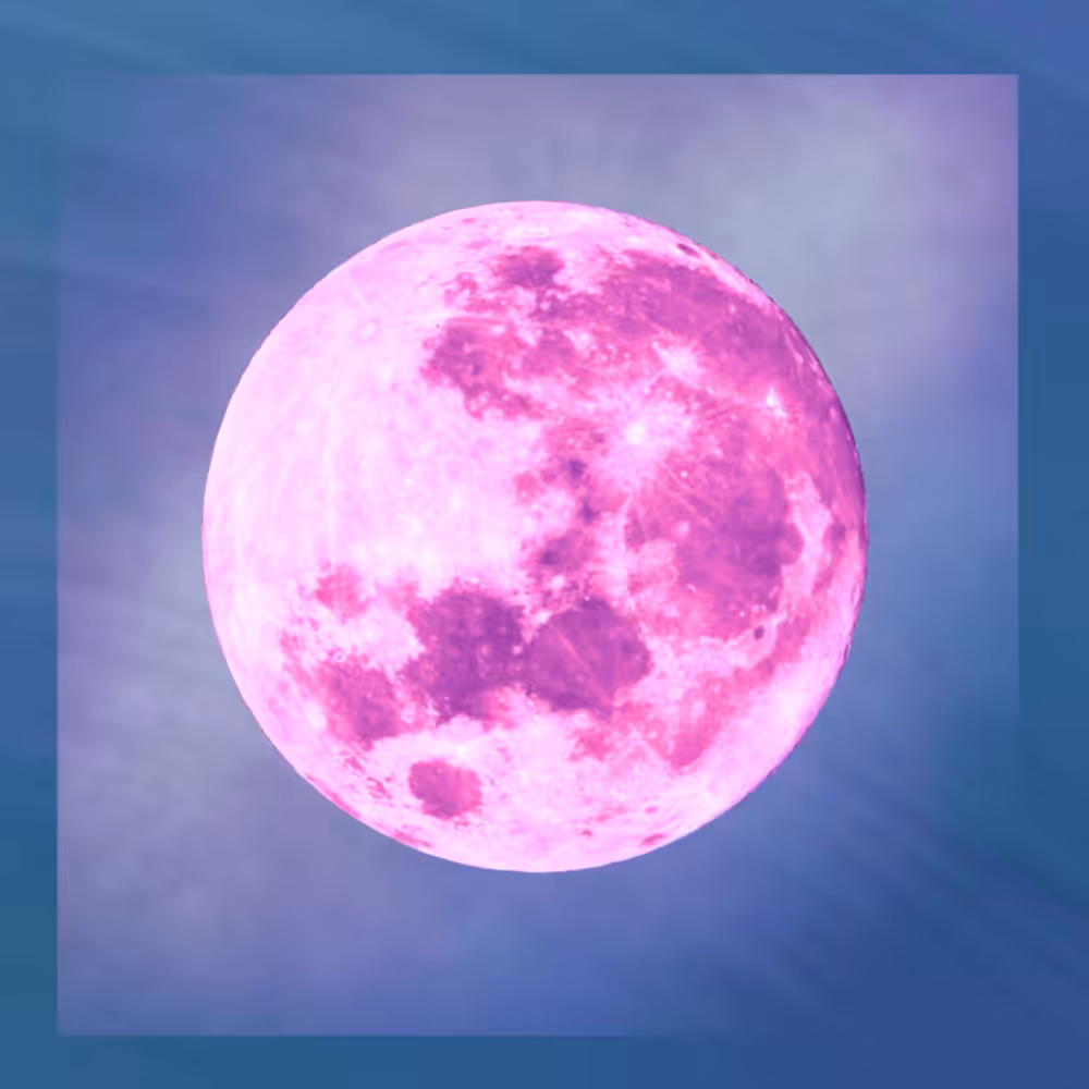 -<Beta Moons>- #5