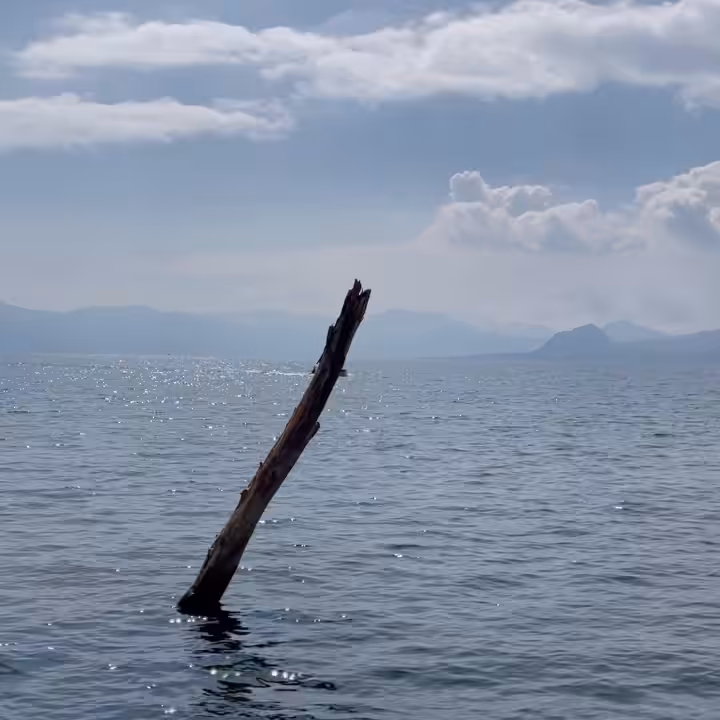 MOMENT #10 - Boats passing.