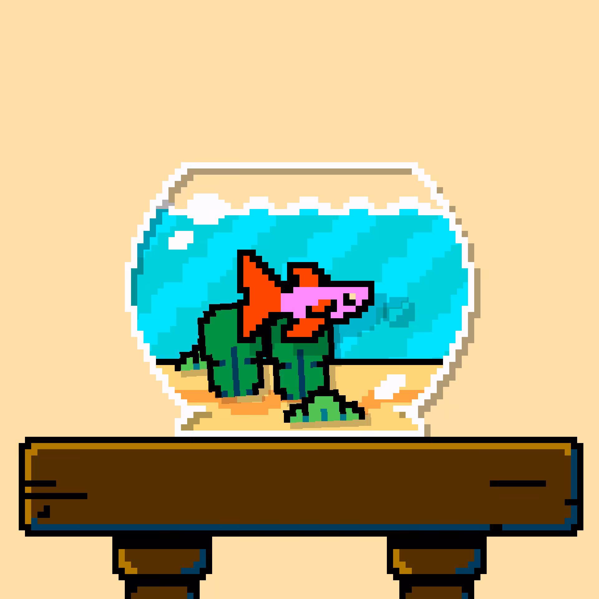 betta fish #700